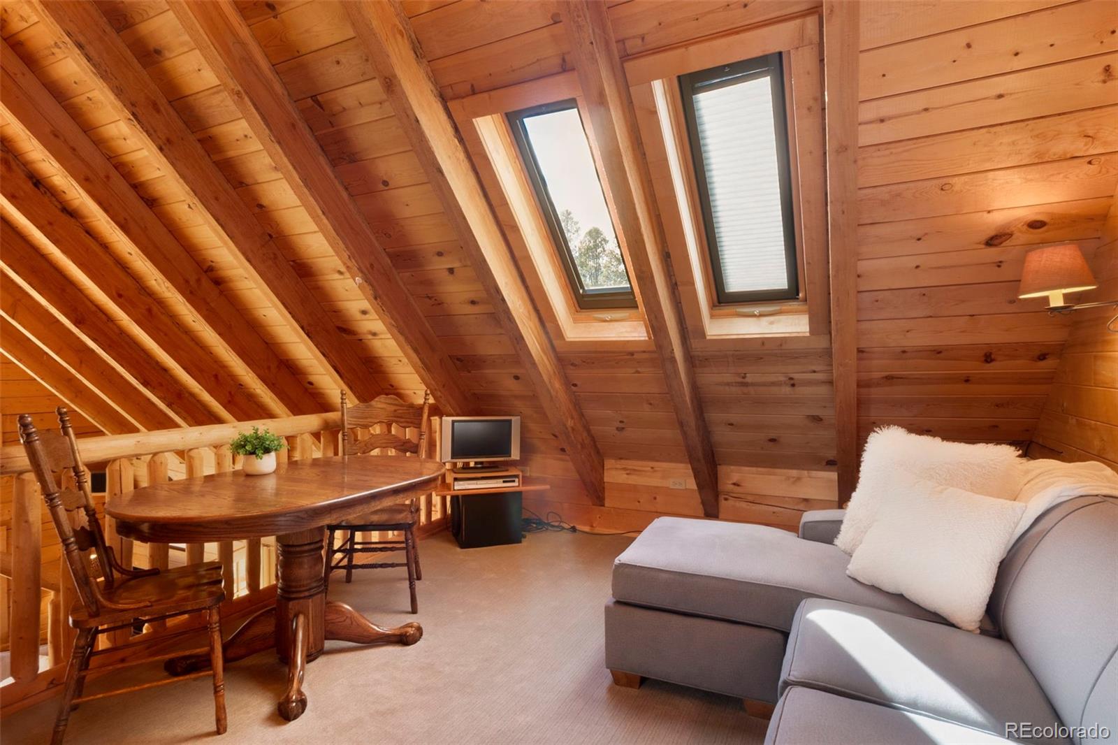 MLS Image #23 for 115  lupine lane,leadville, Colorado
