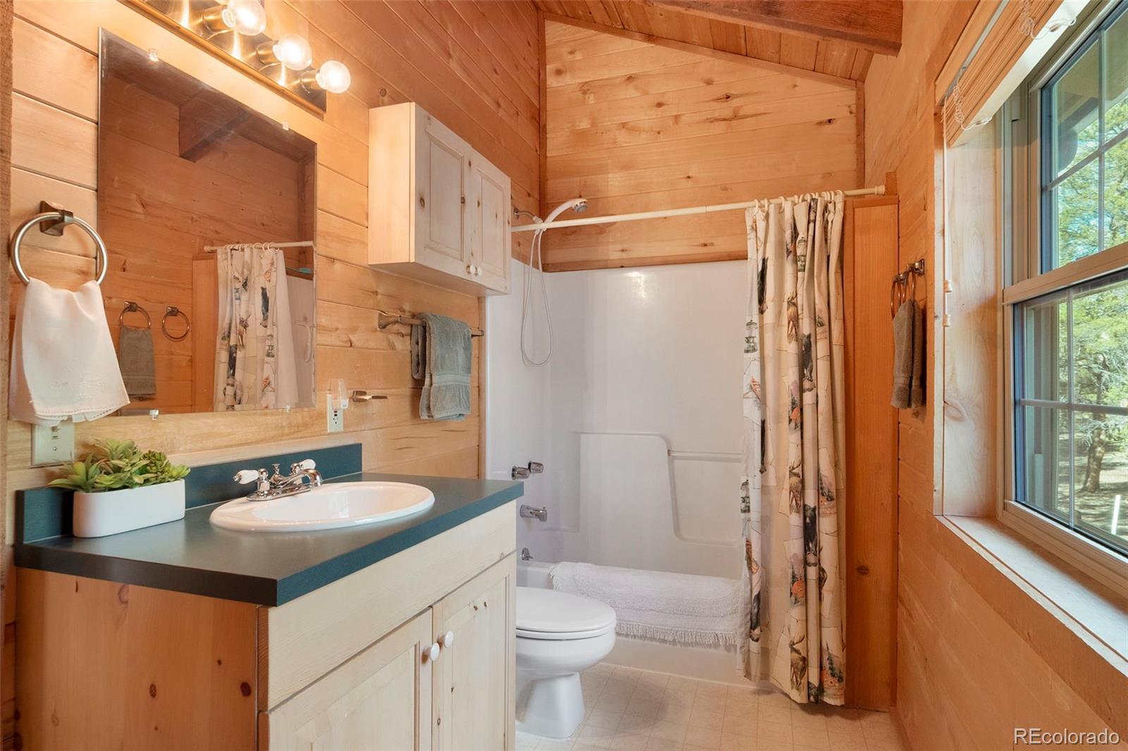 MLS Image #28 for 115  lupine lane,leadville, Colorado