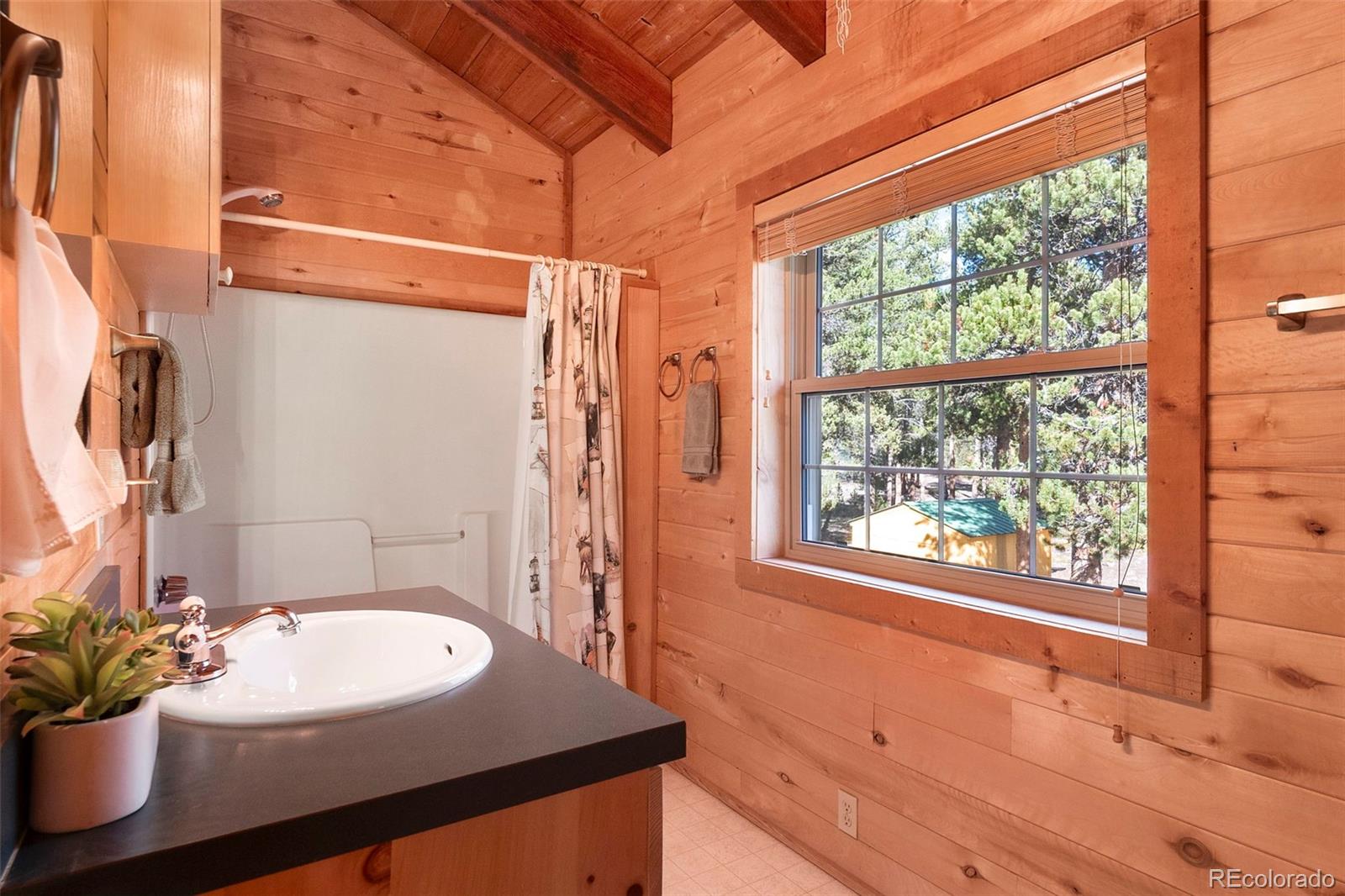 MLS Image #29 for 115  lupine lane,leadville, Colorado