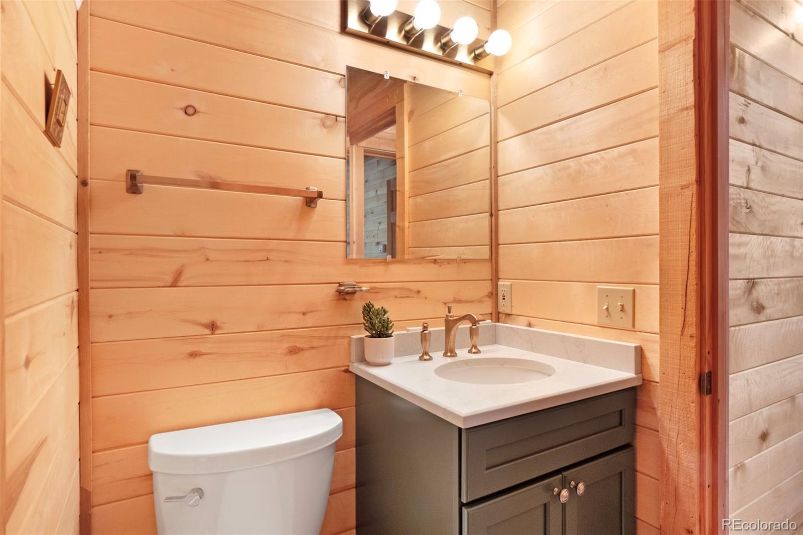 MLS Image #33 for 115  lupine lane,leadville, Colorado