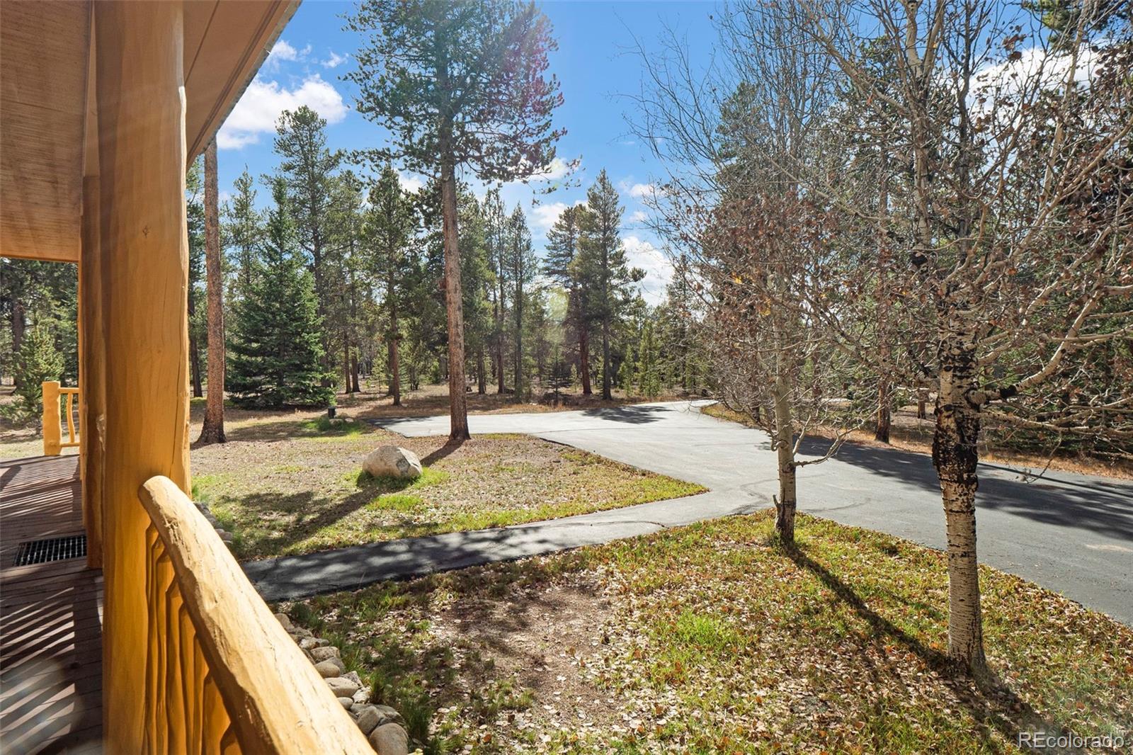 MLS Image #35 for 115  lupine lane,leadville, Colorado