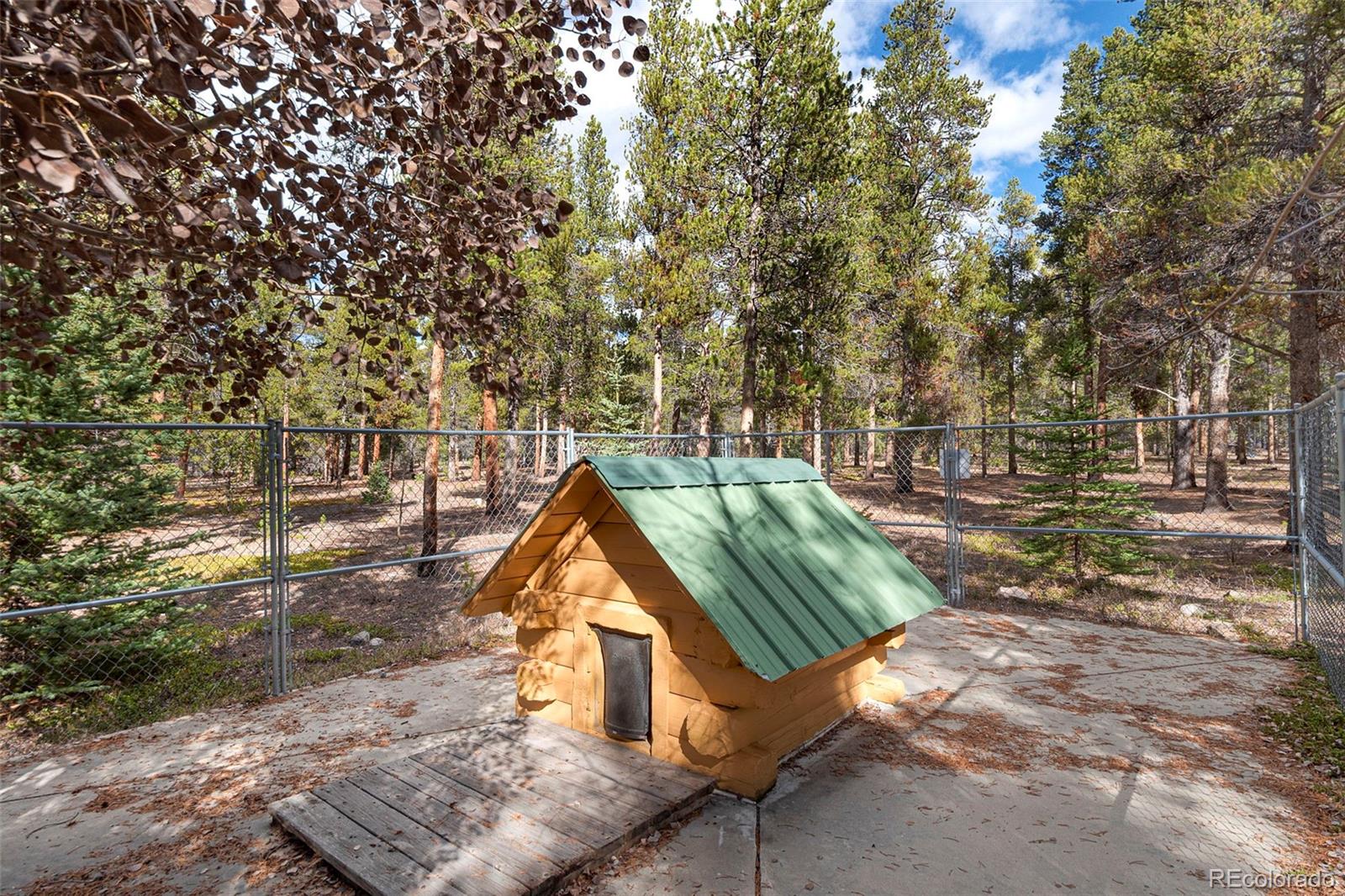 MLS Image #42 for 115  lupine lane,leadville, Colorado