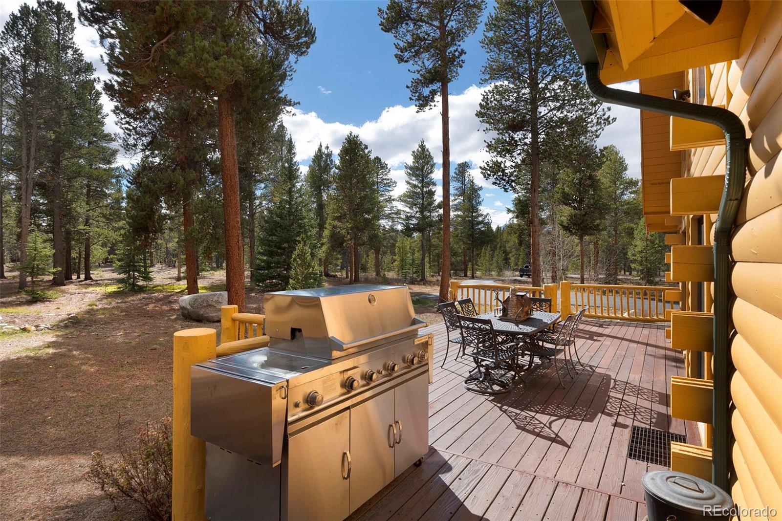 MLS Image #44 for 115  lupine lane,leadville, Colorado