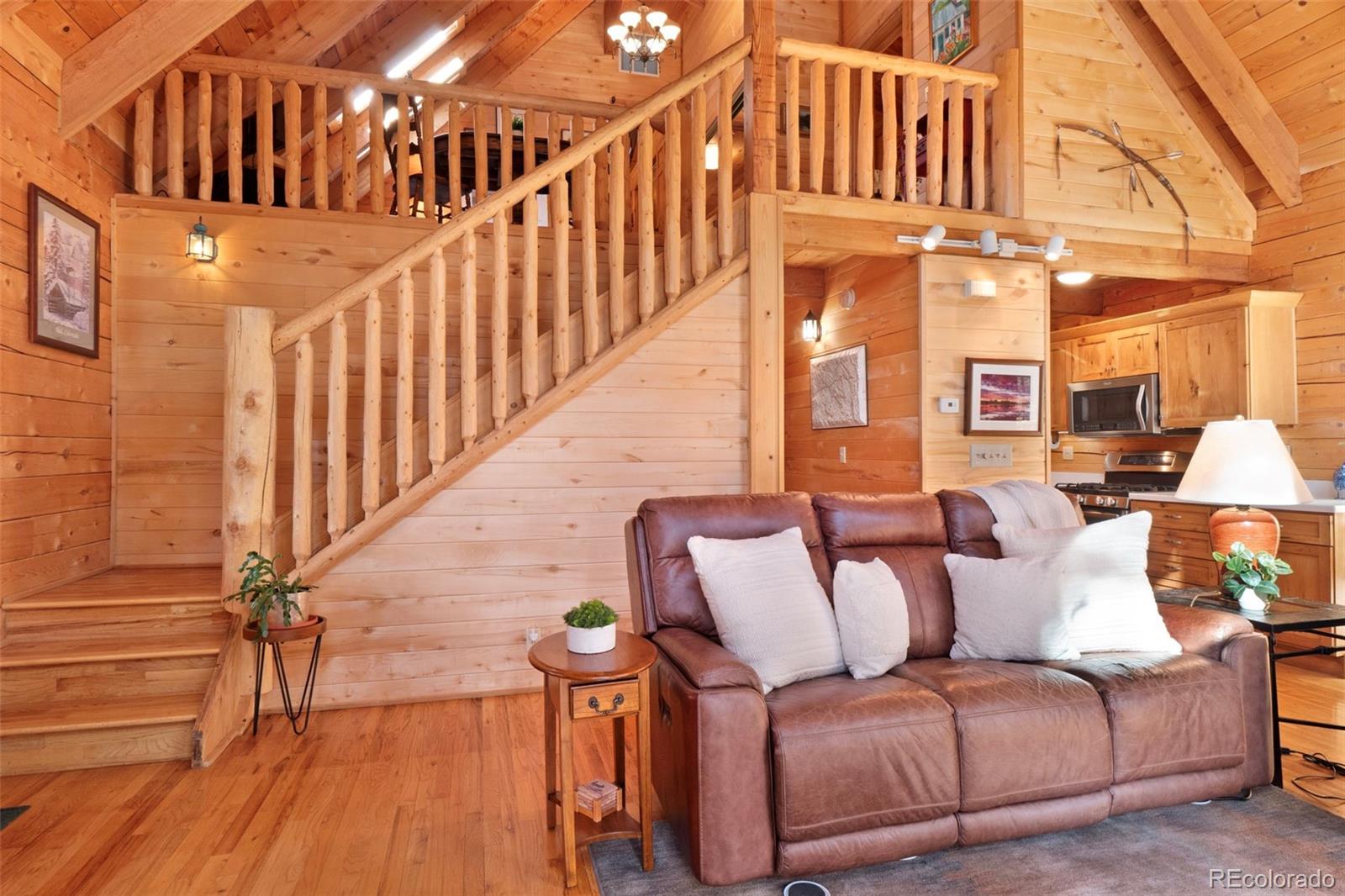 MLS Image #5 for 115  lupine lane,leadville, Colorado