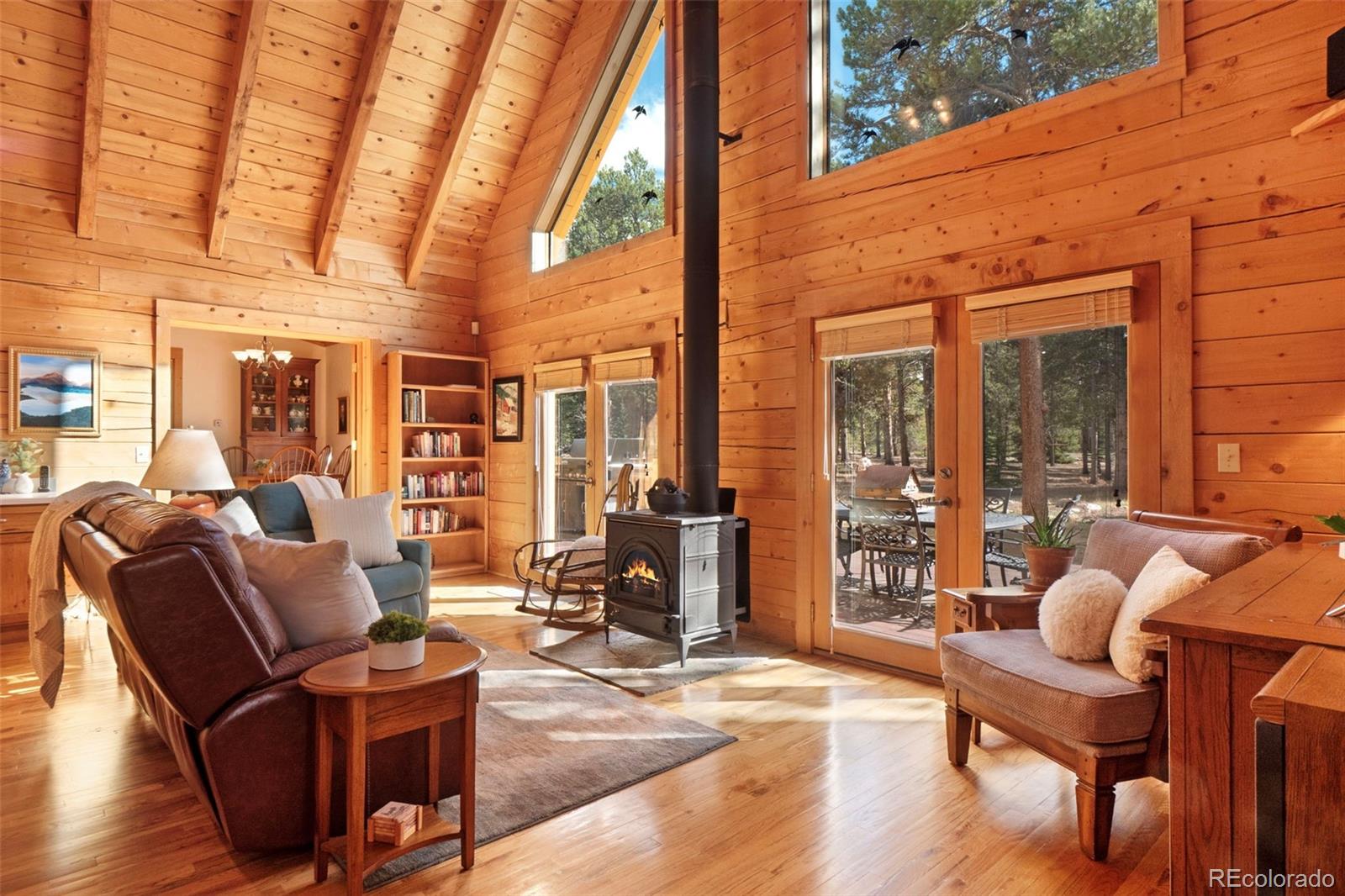 MLS Image #6 for 115  lupine lane,leadville, Colorado