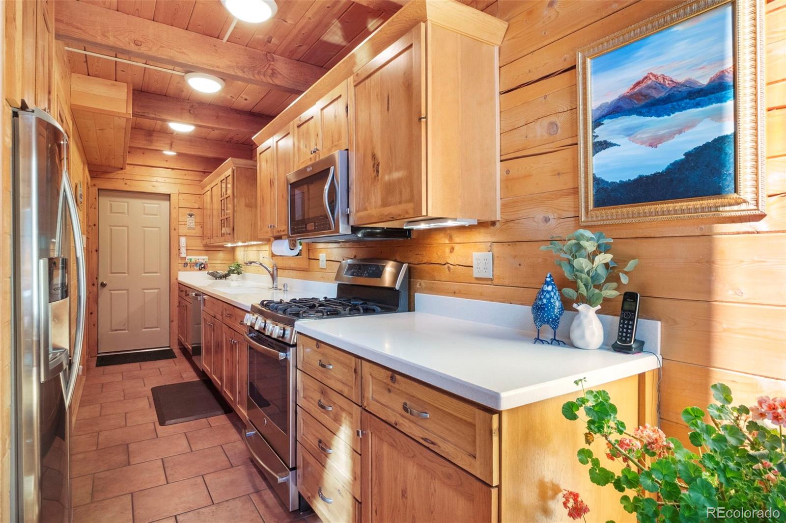 MLS Image #7 for 115  lupine lane,leadville, Colorado