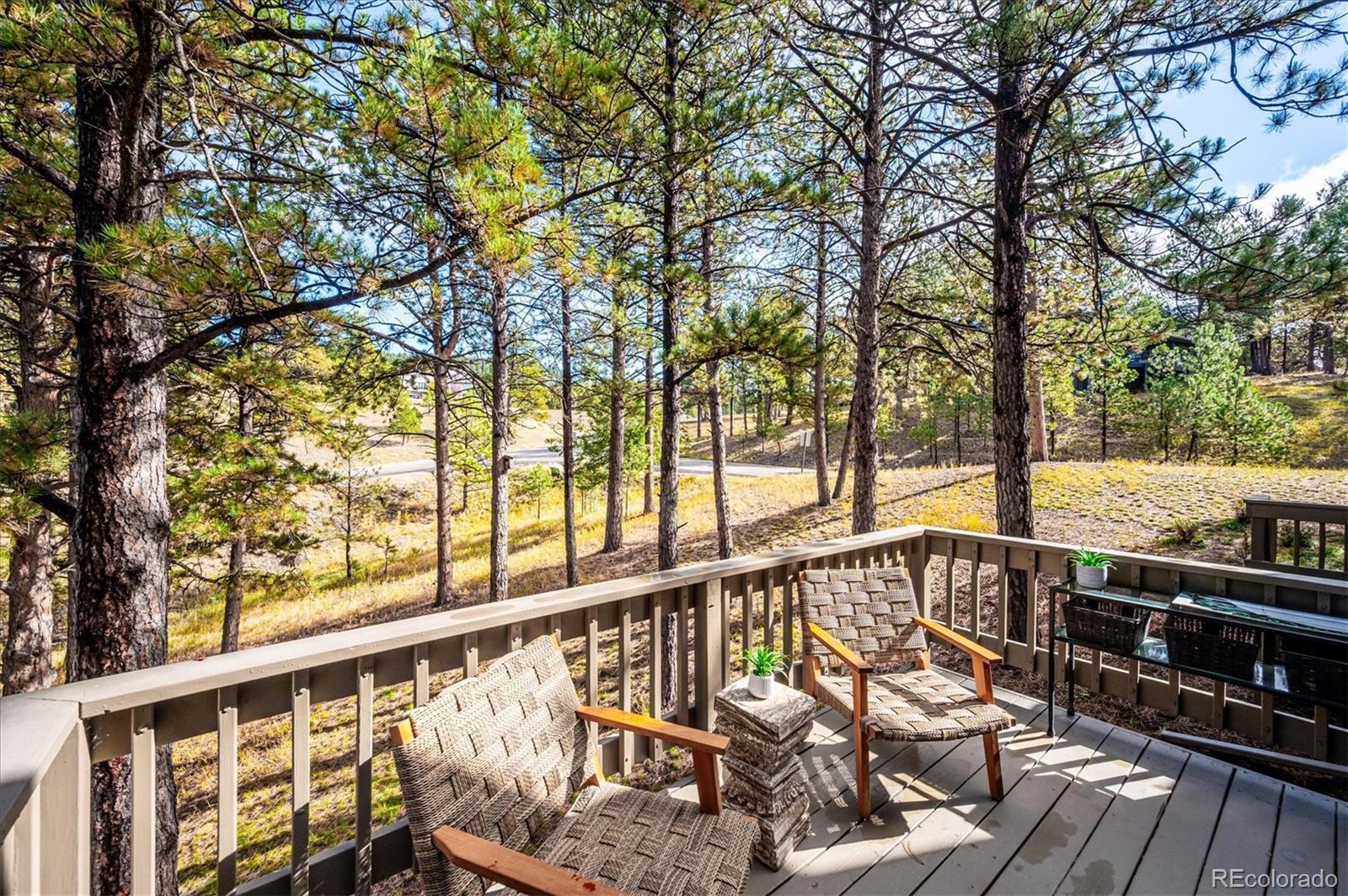 MLS Image #16 for 25250  montane drive,golden, Colorado