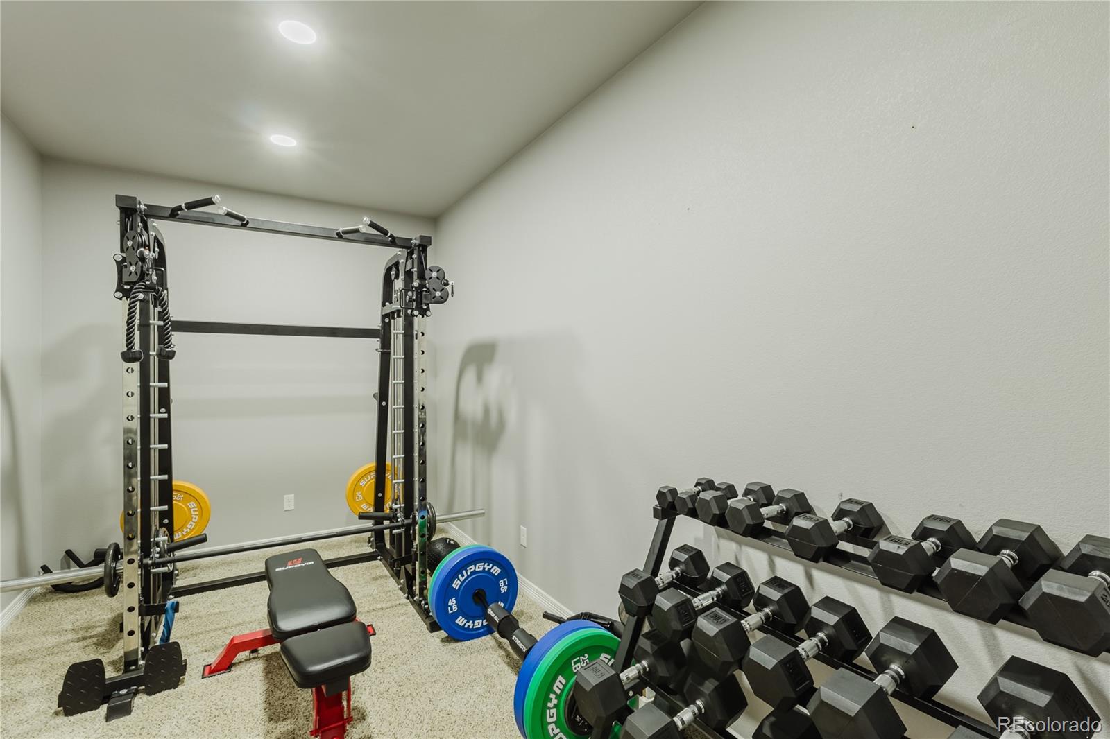 MLS Image #38 for 10165  declaration drive,colorado springs, Colorado