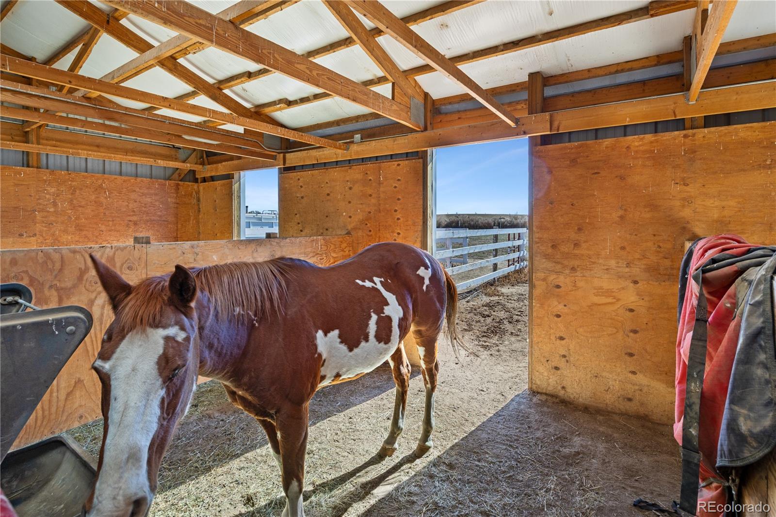 MLS Image #42 for 18556  fox haven court,brighton, Colorado