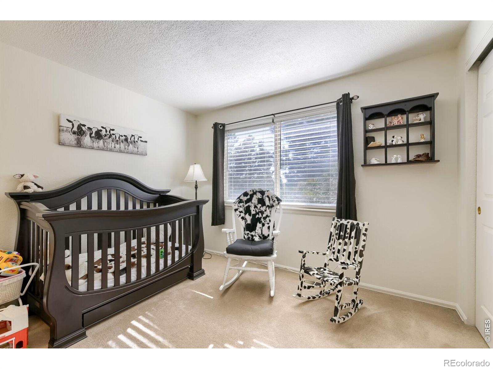MLS Image #17 for 173  maplewood drive,erie, Colorado