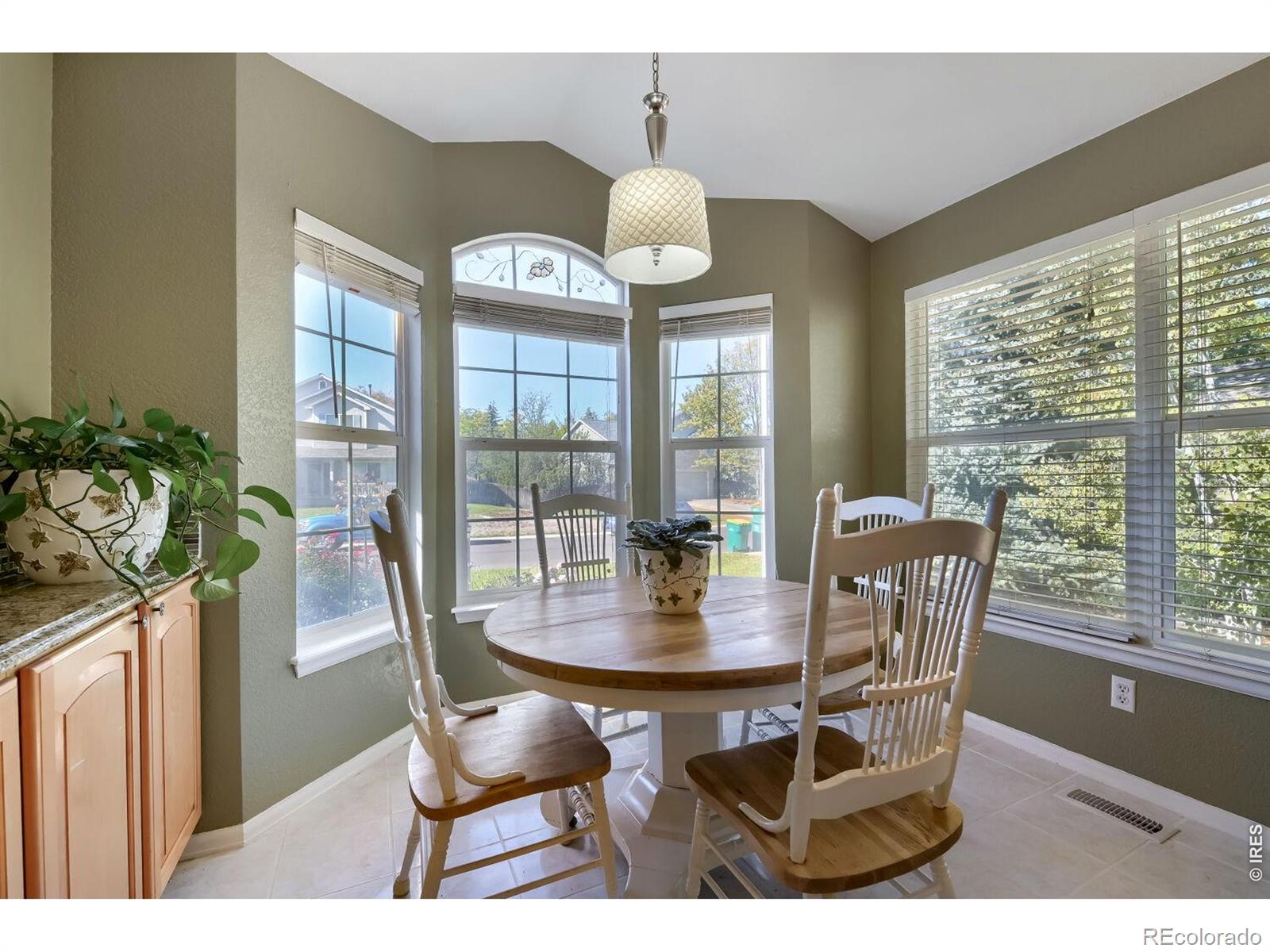 MLS Image #6 for 173  maplewood drive,erie, Colorado
