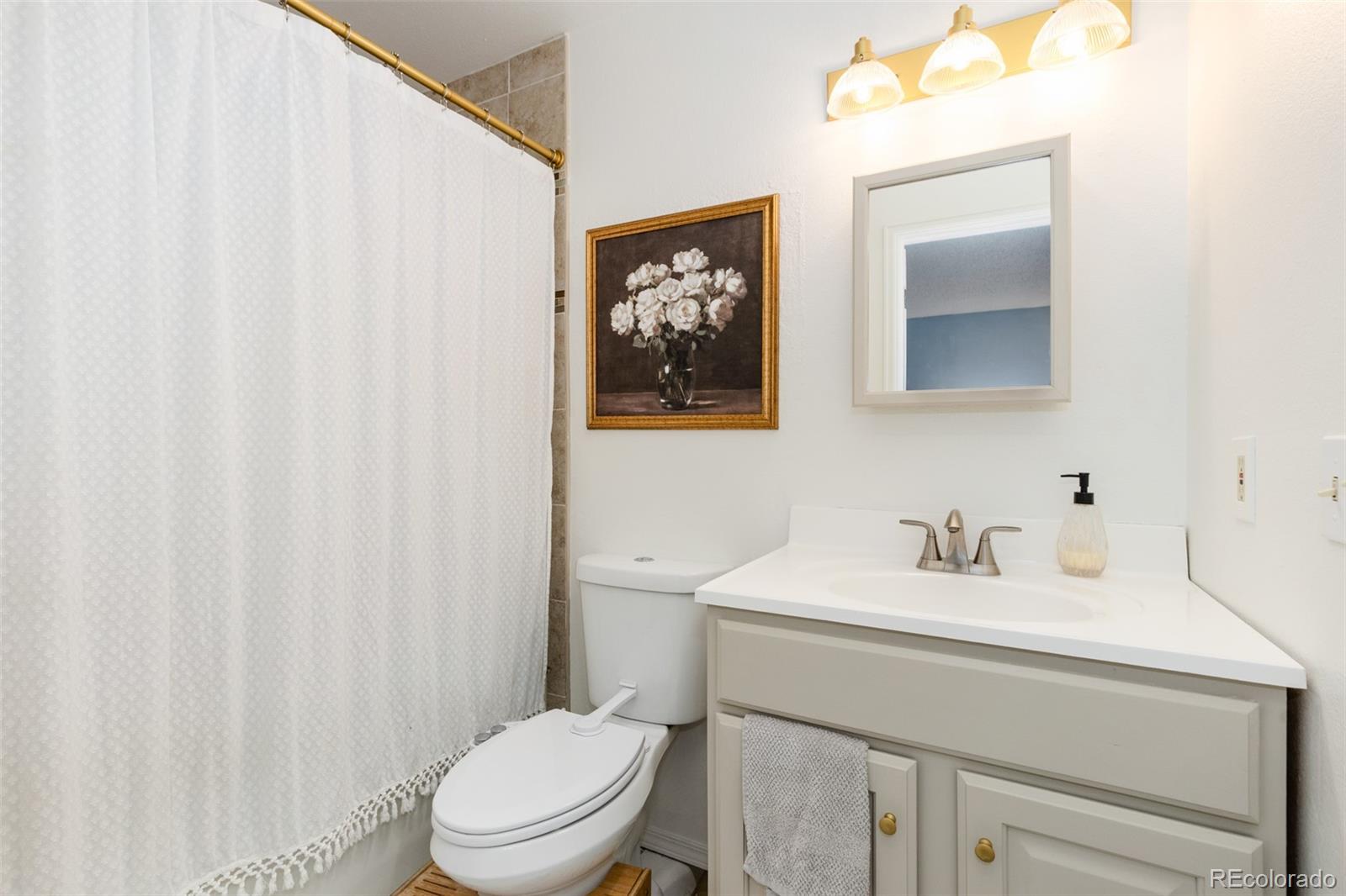 MLS Image #18 for 1510 s salida way,aurora, Colorado