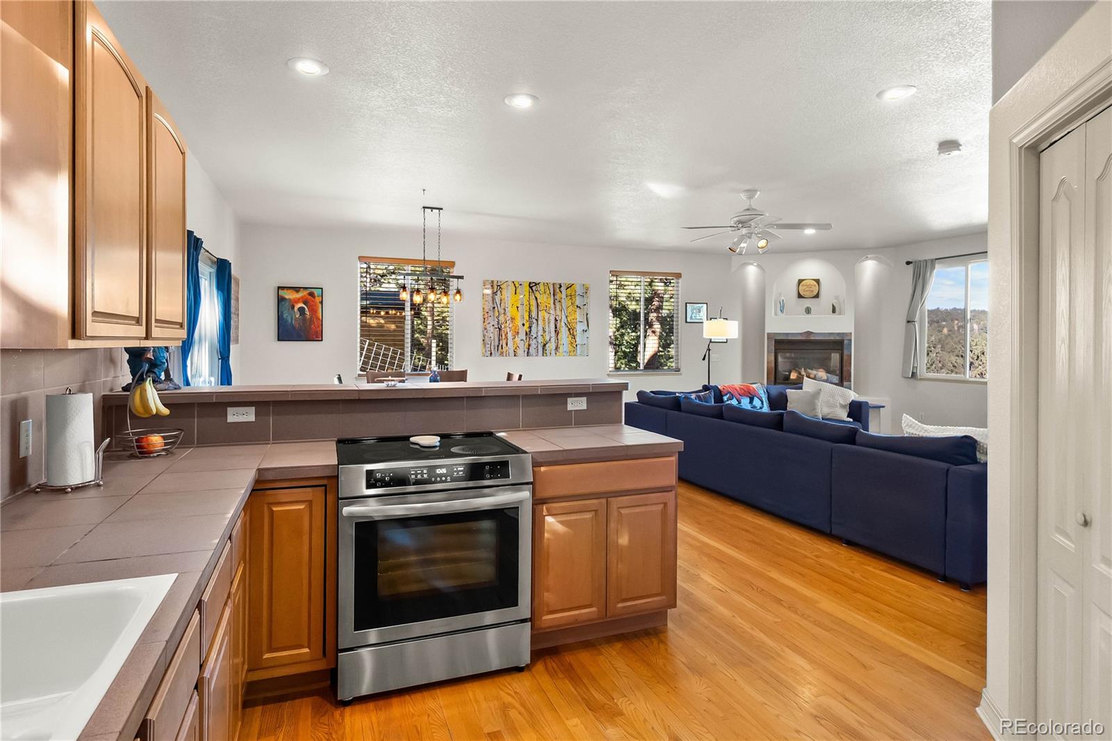 MLS Image #11 for 30080  fir drive,evergreen, Colorado
