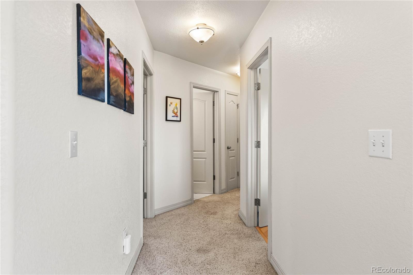 MLS Image #18 for 30080  fir drive,evergreen, Colorado