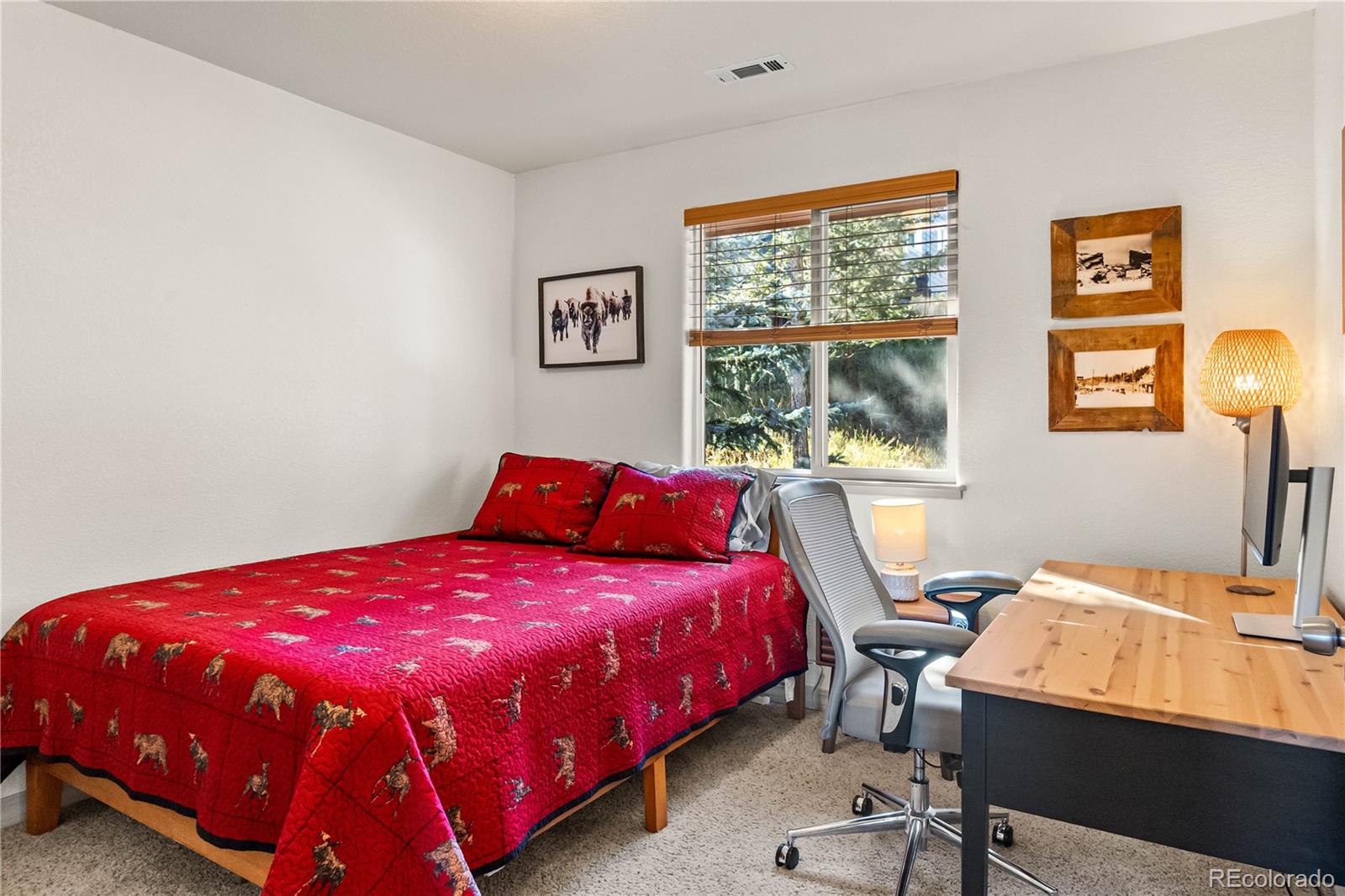 MLS Image #19 for 30080  fir drive,evergreen, Colorado