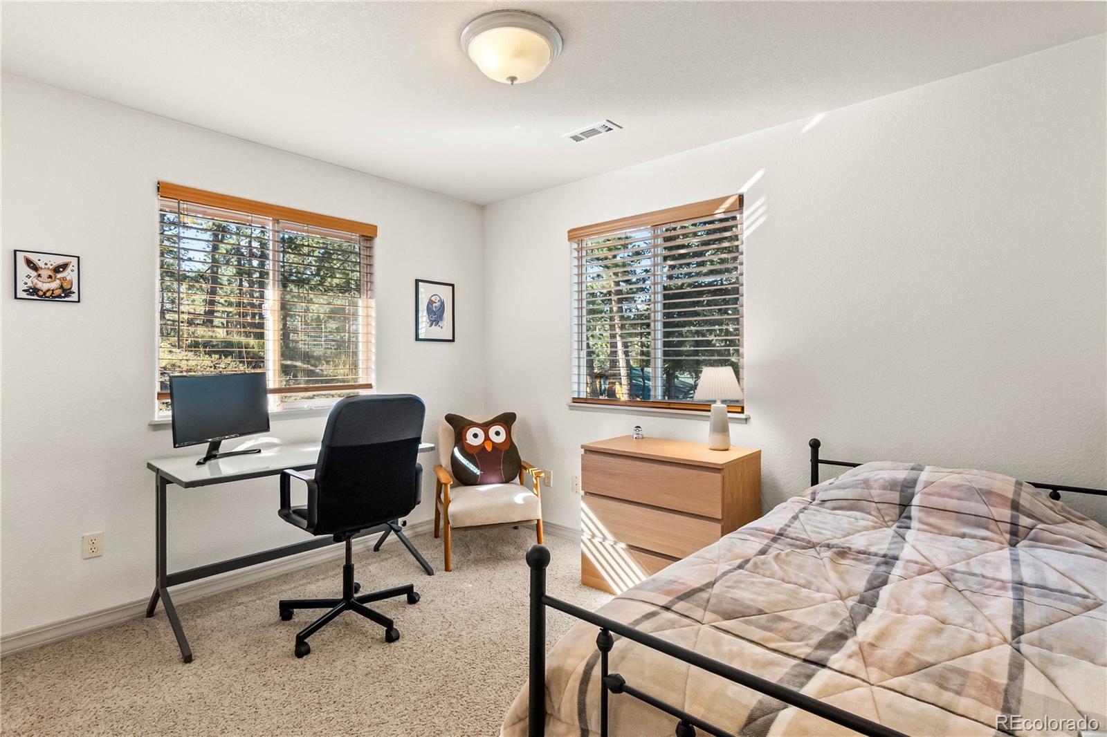 MLS Image #22 for 30080  fir drive,evergreen, Colorado