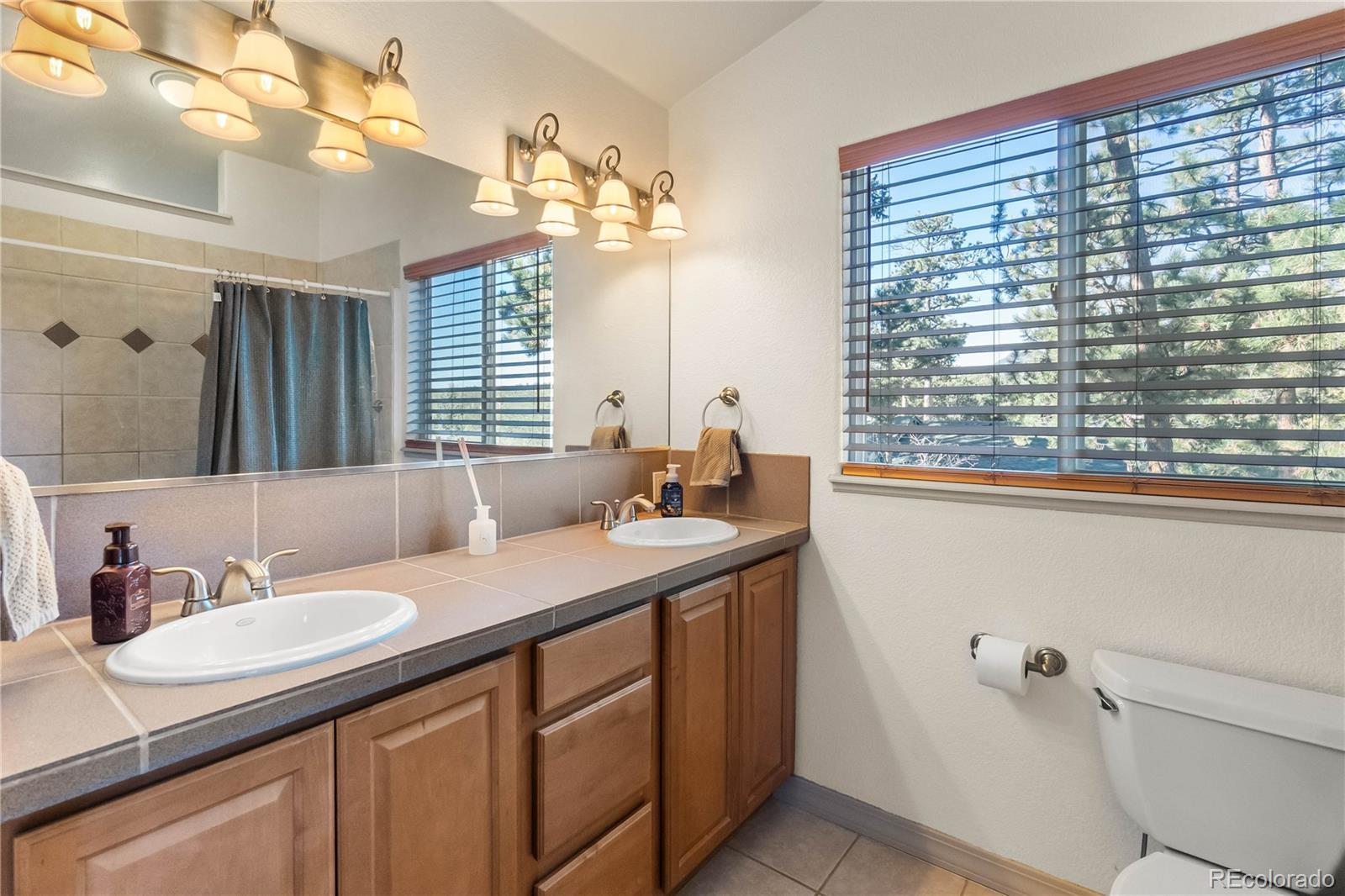 MLS Image #30 for 30080  fir drive,evergreen, Colorado