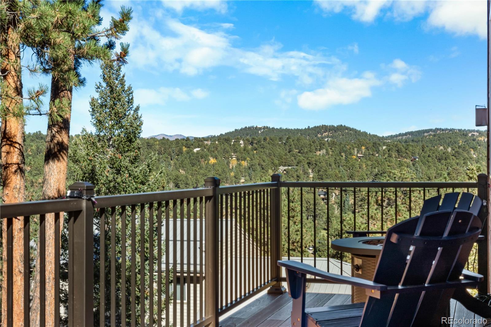 MLS Image #44 for 30080  fir drive,evergreen, Colorado