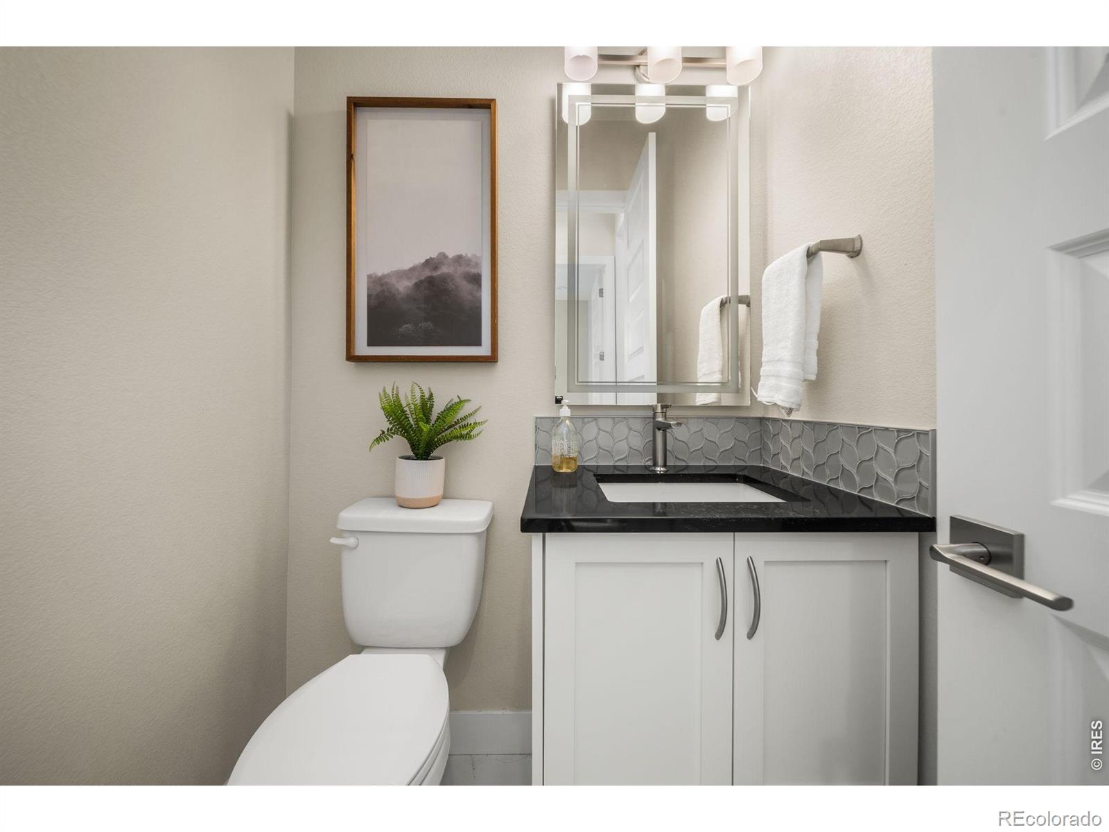 MLS Image #19 for 1730  lucent court,windsor, Colorado