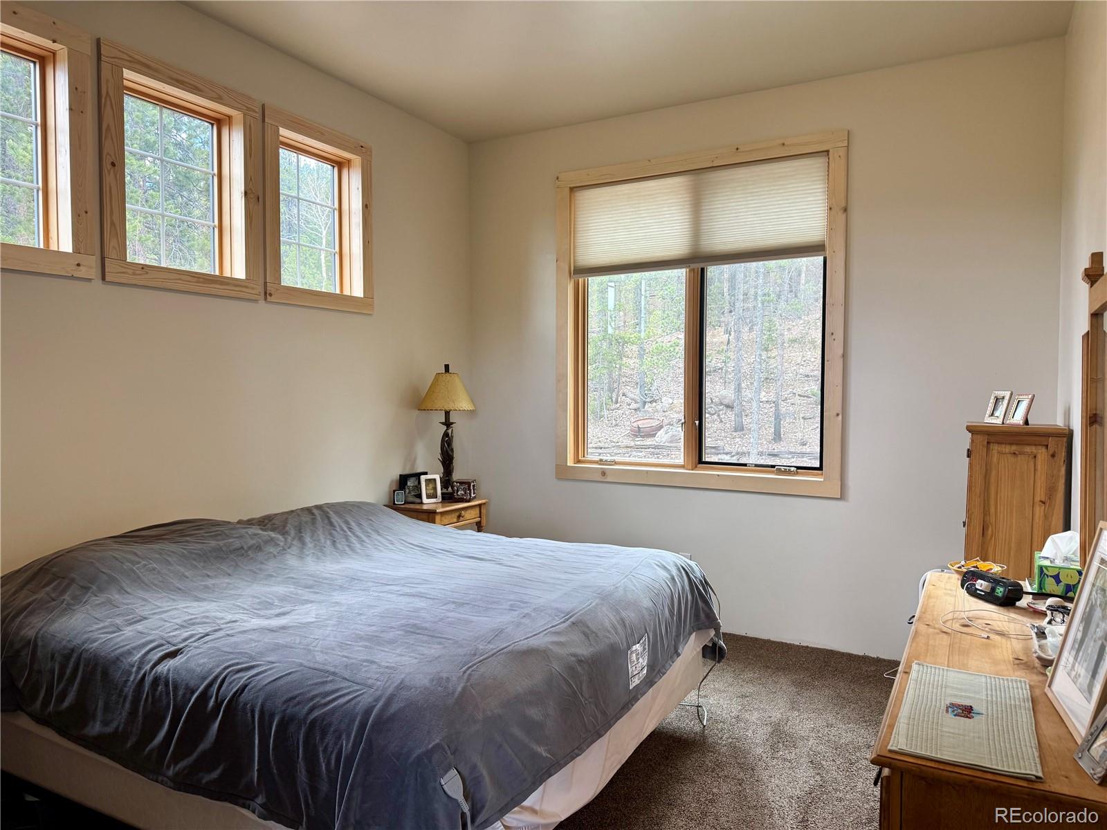 MLS Image #12 for 217  mt elbert road,twin lakes, Colorado