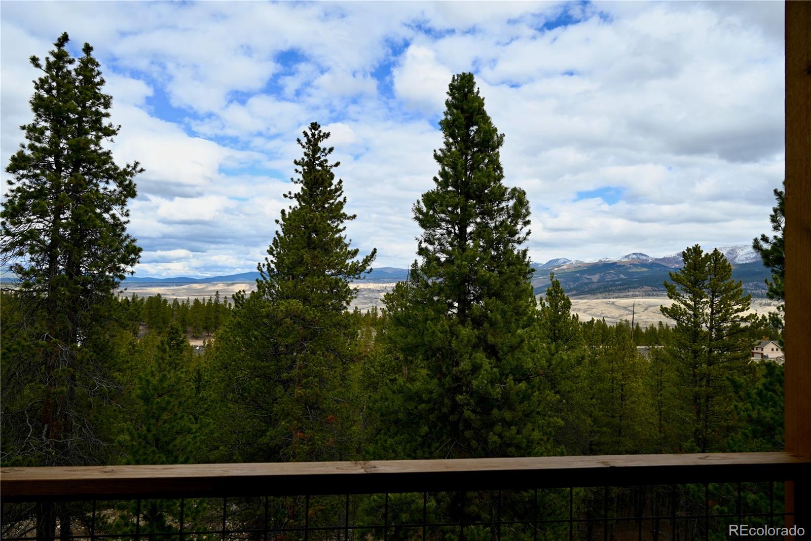 MLS Image #8 for 217  mt elbert road,twin lakes, Colorado