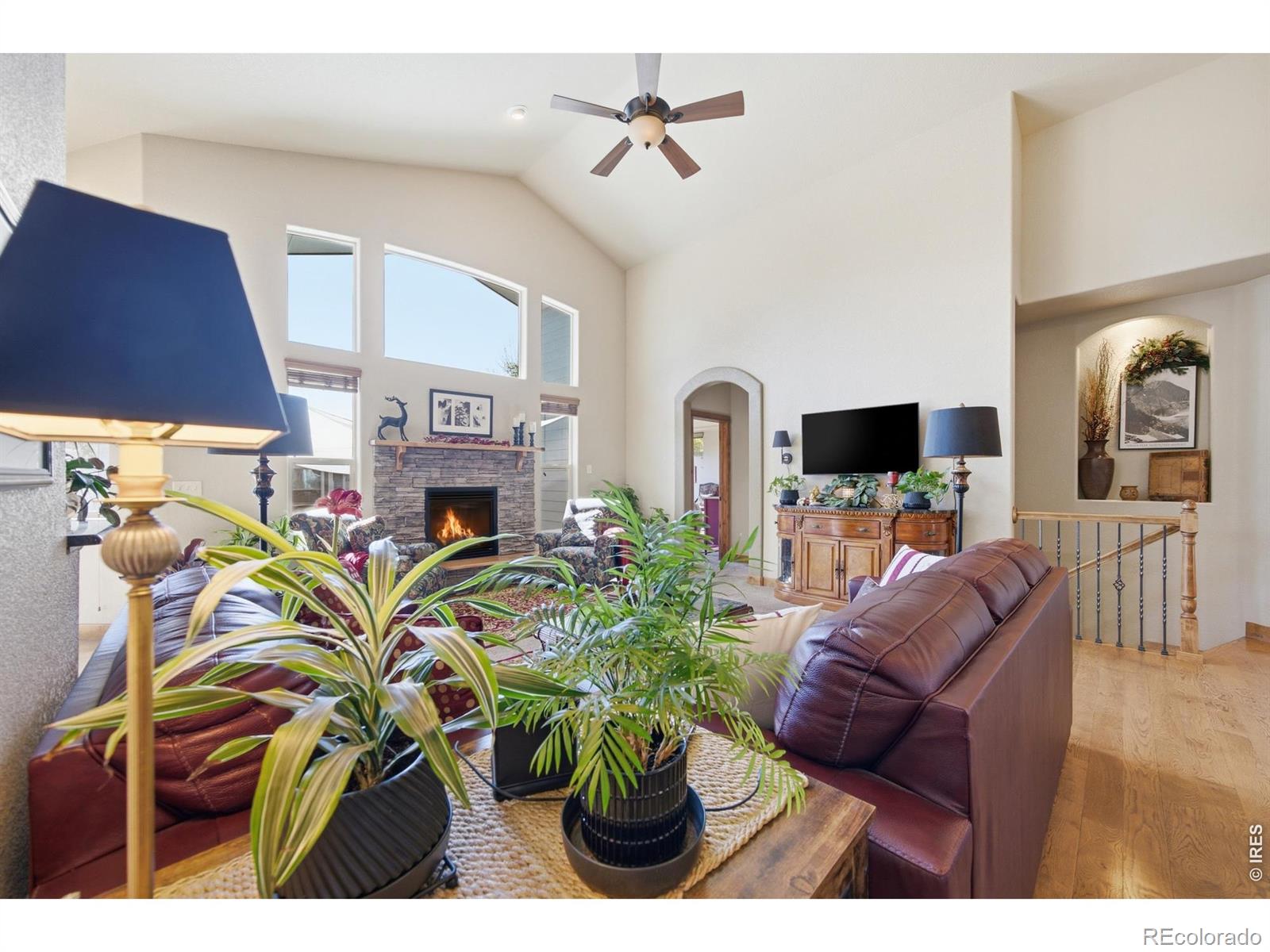 MLS Image #8 for 1620  tennessee street,loveland, Colorado