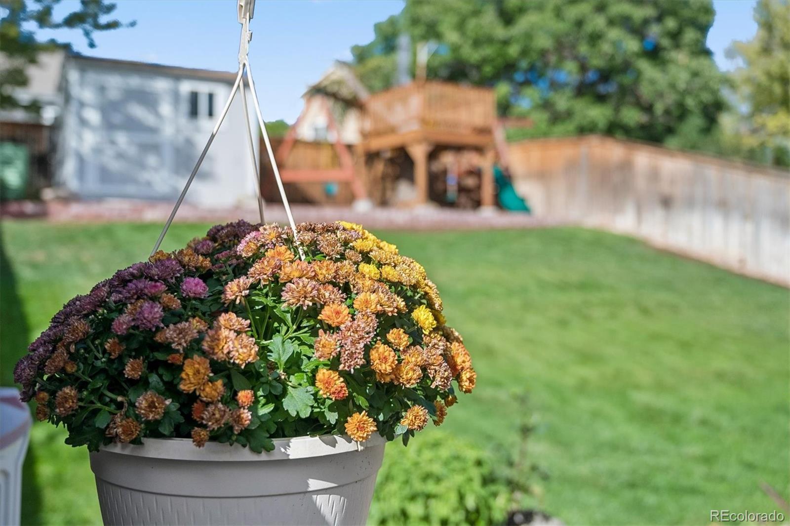 MLS Image #12 for 10369  tracewood drive,highlands ranch, Colorado