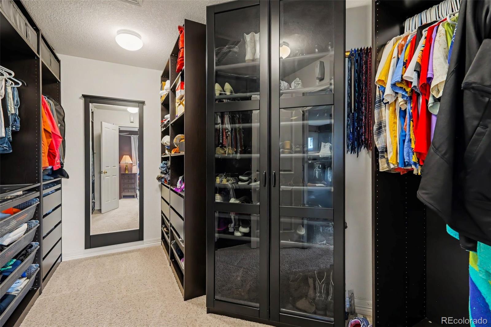 MLS Image #21 for 4475 s johnson court,littleton, Colorado