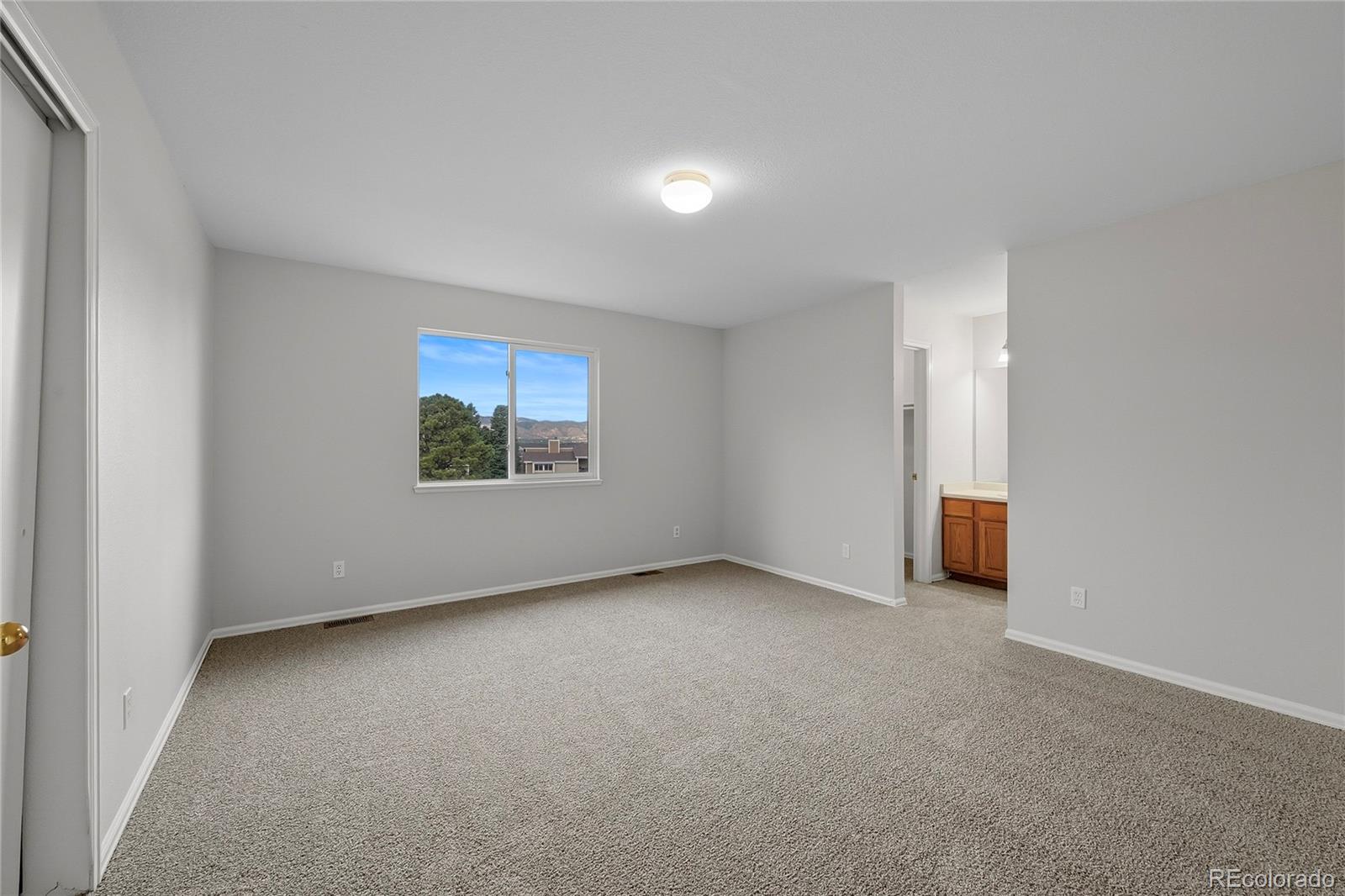 MLS Image #15 for 1010  magic lamp way f,monument, Colorado