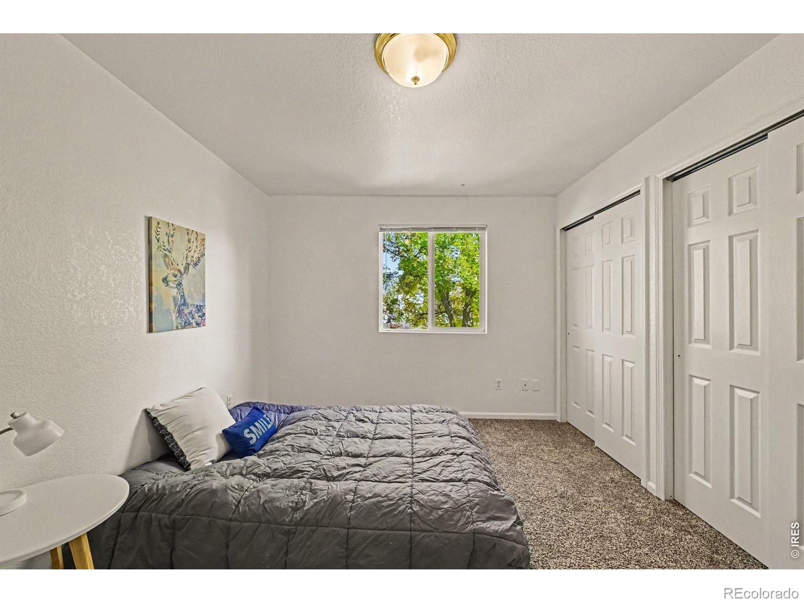 MLS Image #13 for 730  ponderosa drive,fort collins, Colorado