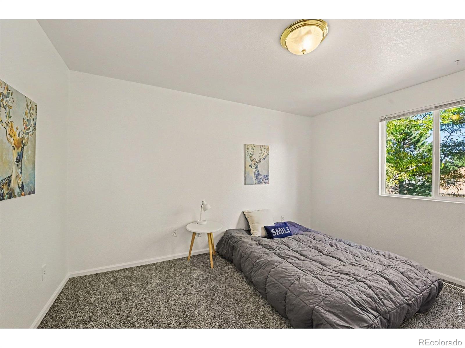 MLS Image #14 for 730  ponderosa drive,fort collins, Colorado