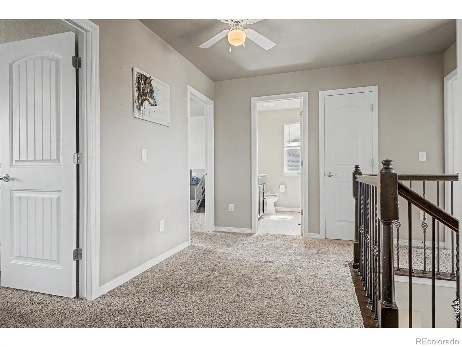 MLS Image #13 for 4689  waltham drive,windsor, Colorado
