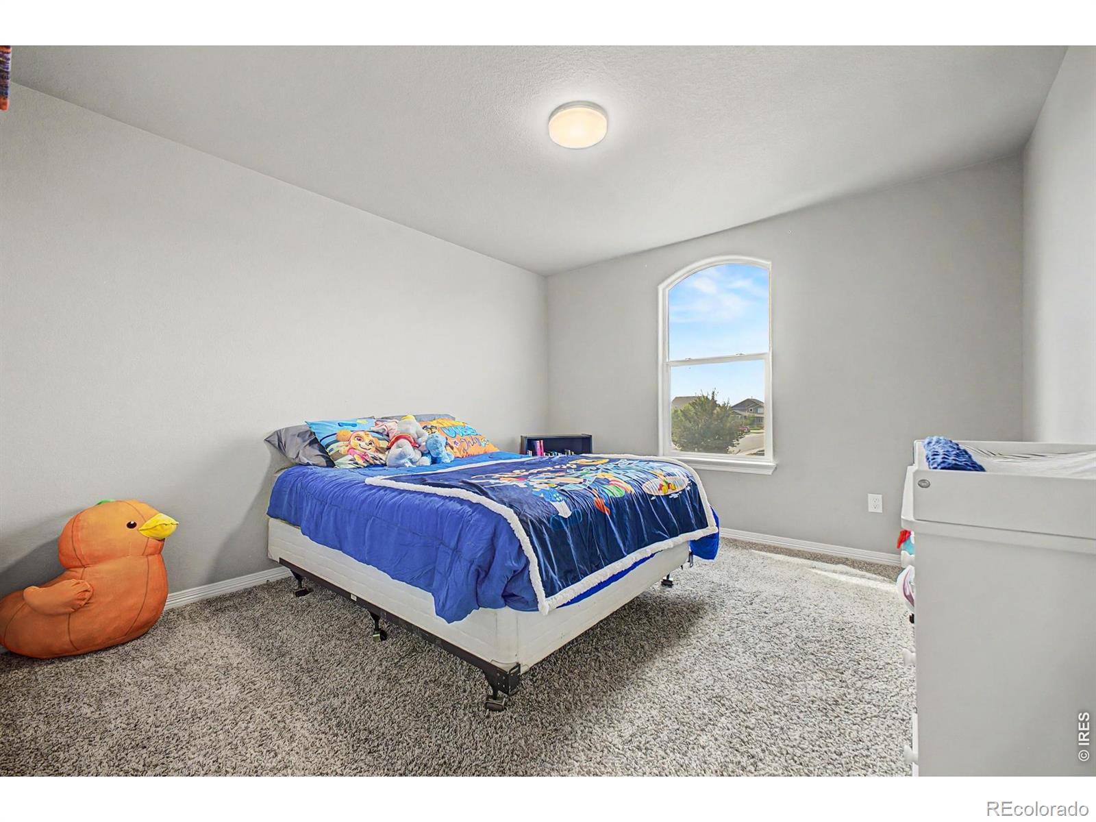 MLS Image #25 for 4689  waltham drive,windsor, Colorado