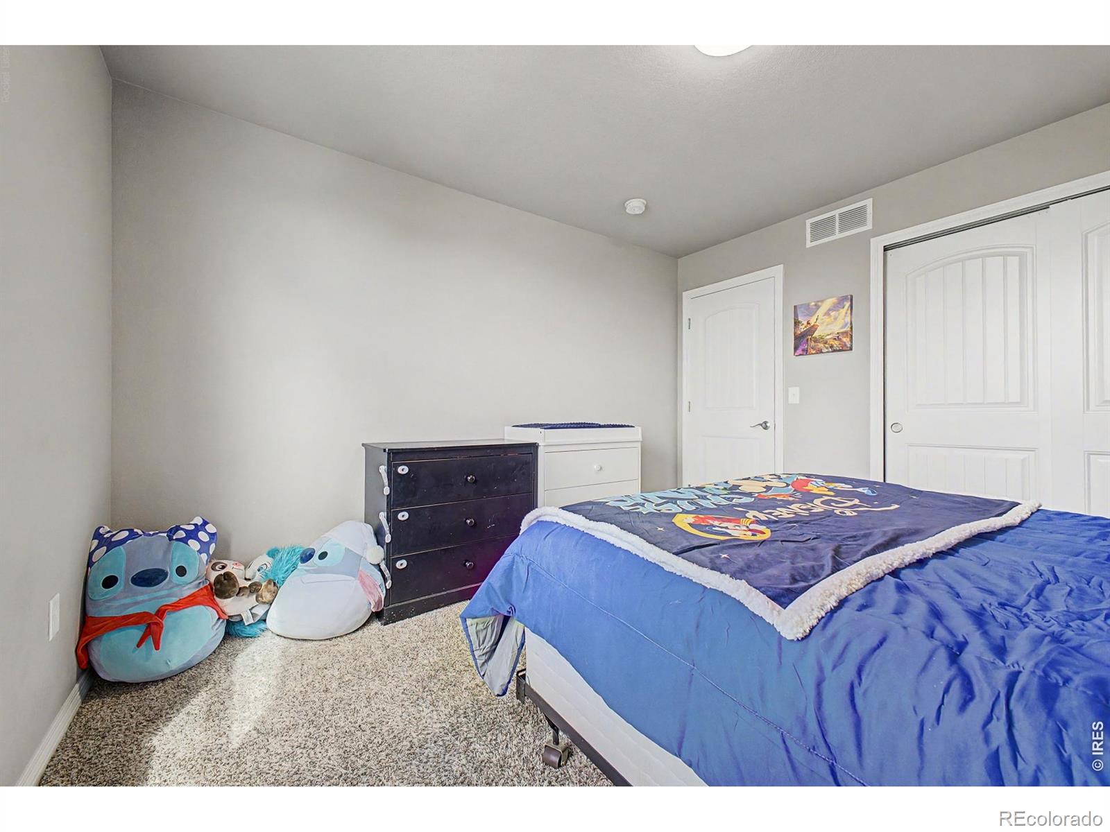 MLS Image #26 for 4689  waltham drive,windsor, Colorado