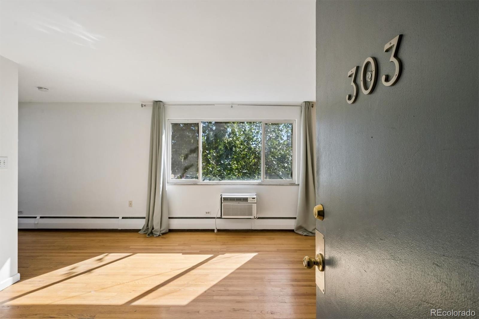 MLS Image #1 for 1056 n marion street,denver, Colorado
