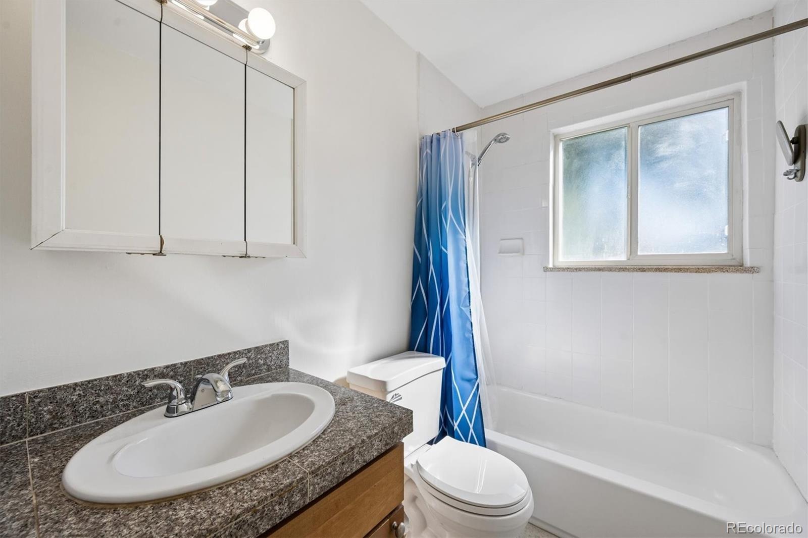 MLS Image #12 for 1056 n marion street,denver, Colorado