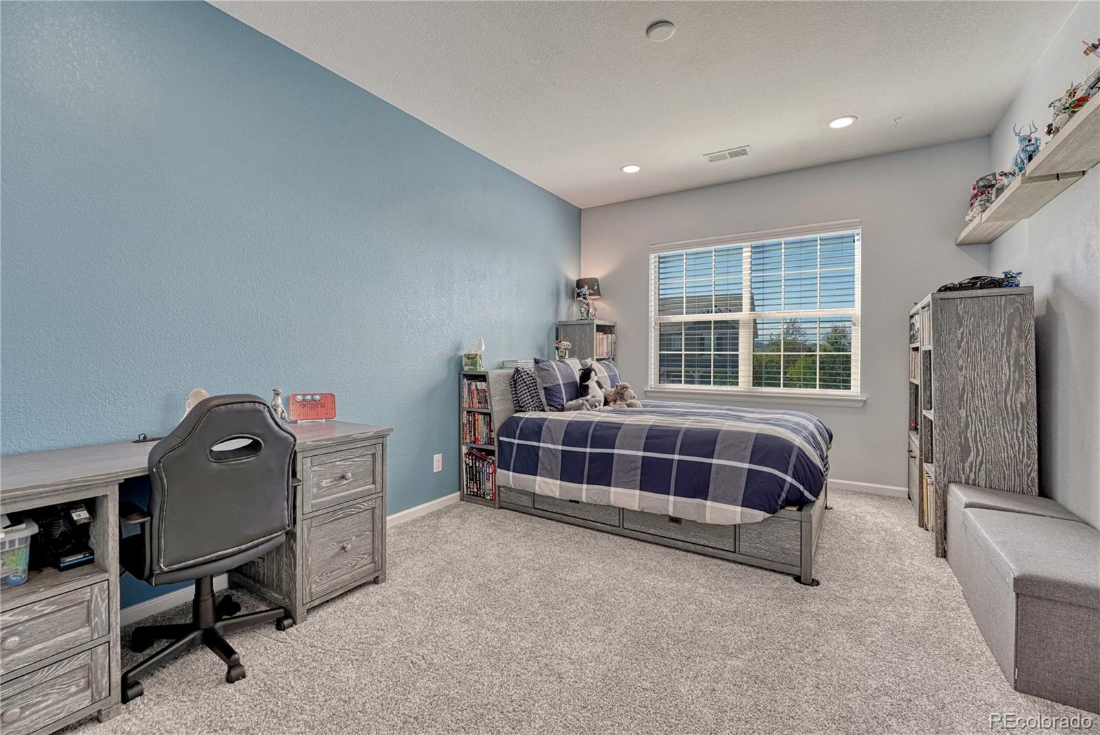 MLS Image #30 for 11958 s wanderlust way,parker, Colorado