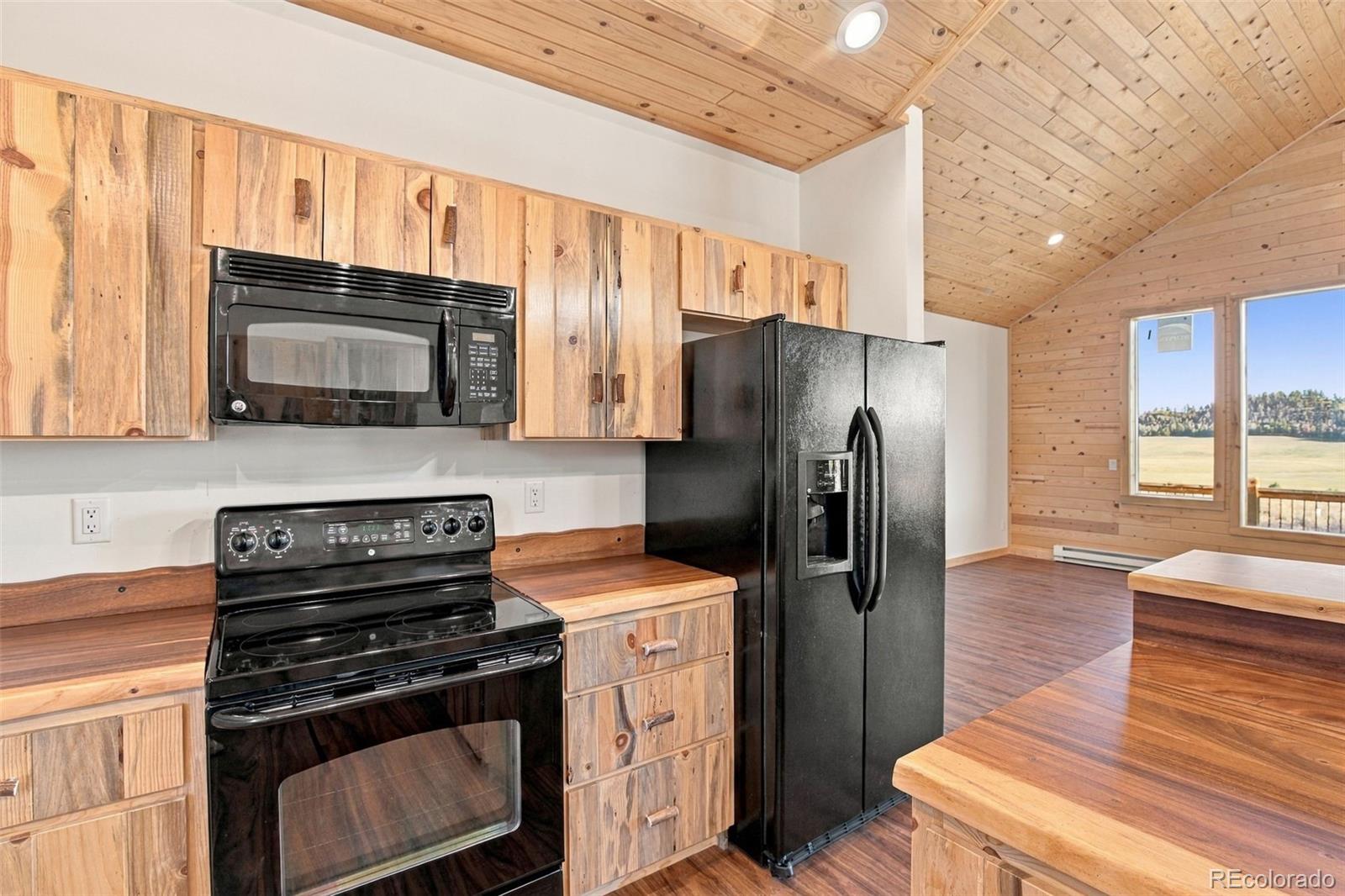 MLS Image #16 for 59  whip way,hartsel, Colorado