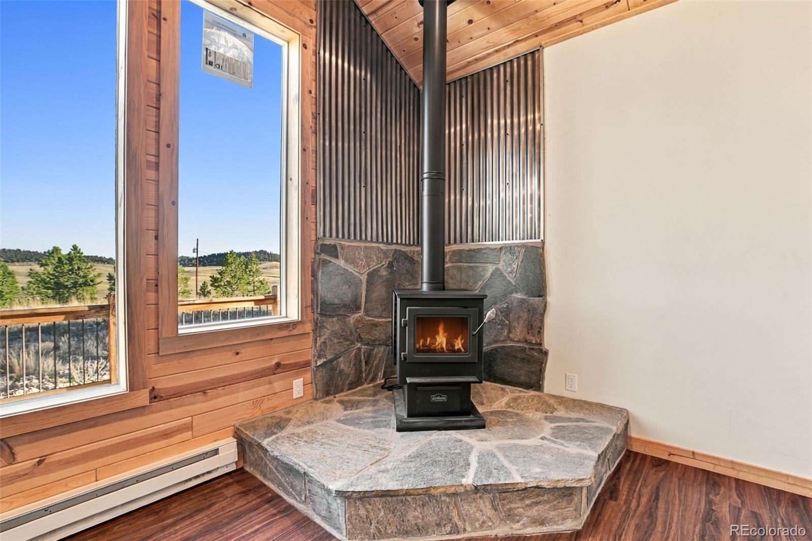 MLS Image #6 for 59  whip way,hartsel, Colorado