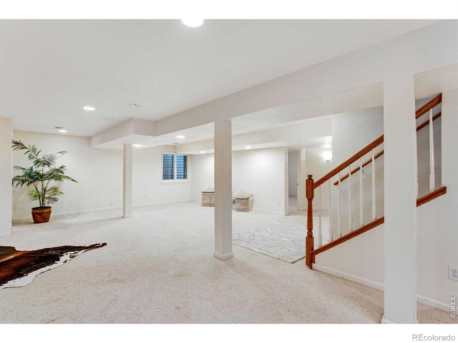 MLS Image #42 for 1218  chickadee court,fort collins, Colorado