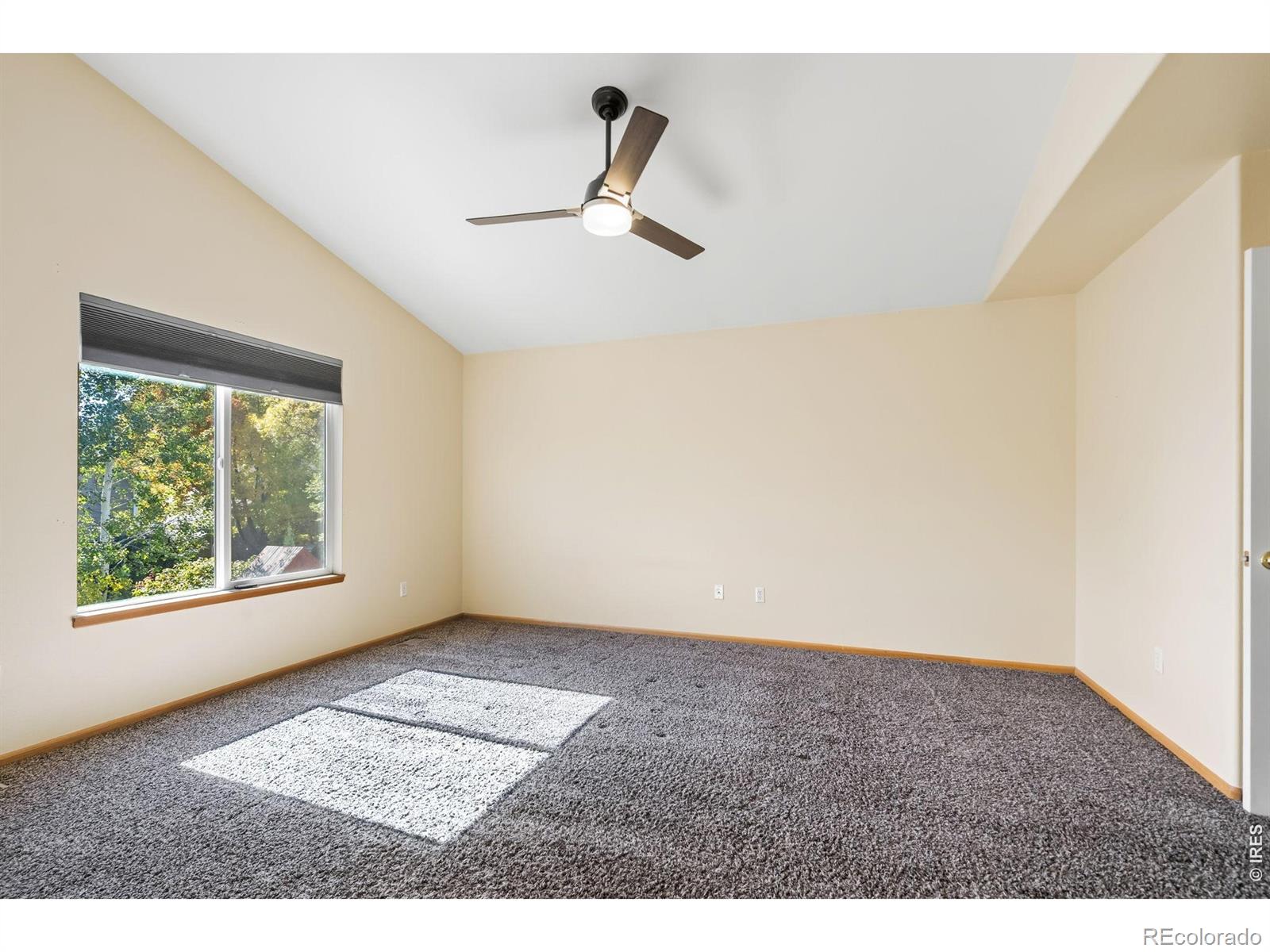 MLS Image #21 for 521  dunraven drive,fort collins, Colorado
