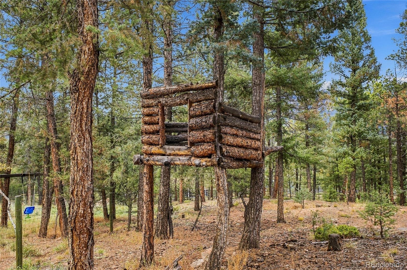 MLS Image #18 for 34383  ponca road,pine, Colorado