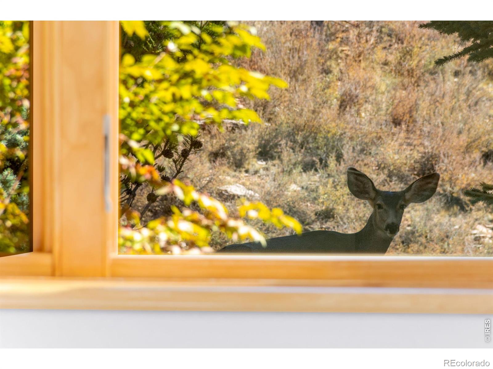 MLS Image #35 for 1016  horizon drive,lyons, Colorado