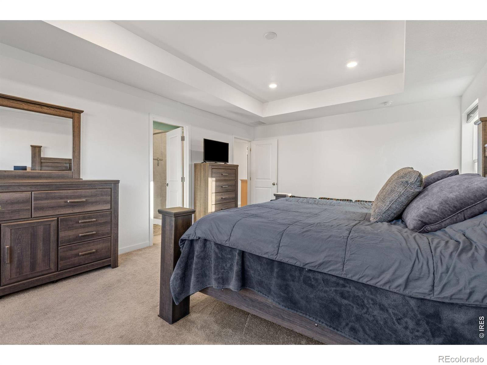 MLS Image #16 for 2832  coleman street,fort collins, Colorado