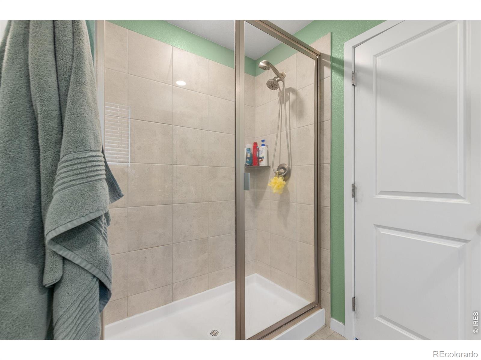 MLS Image #18 for 2832  coleman street,fort collins, Colorado