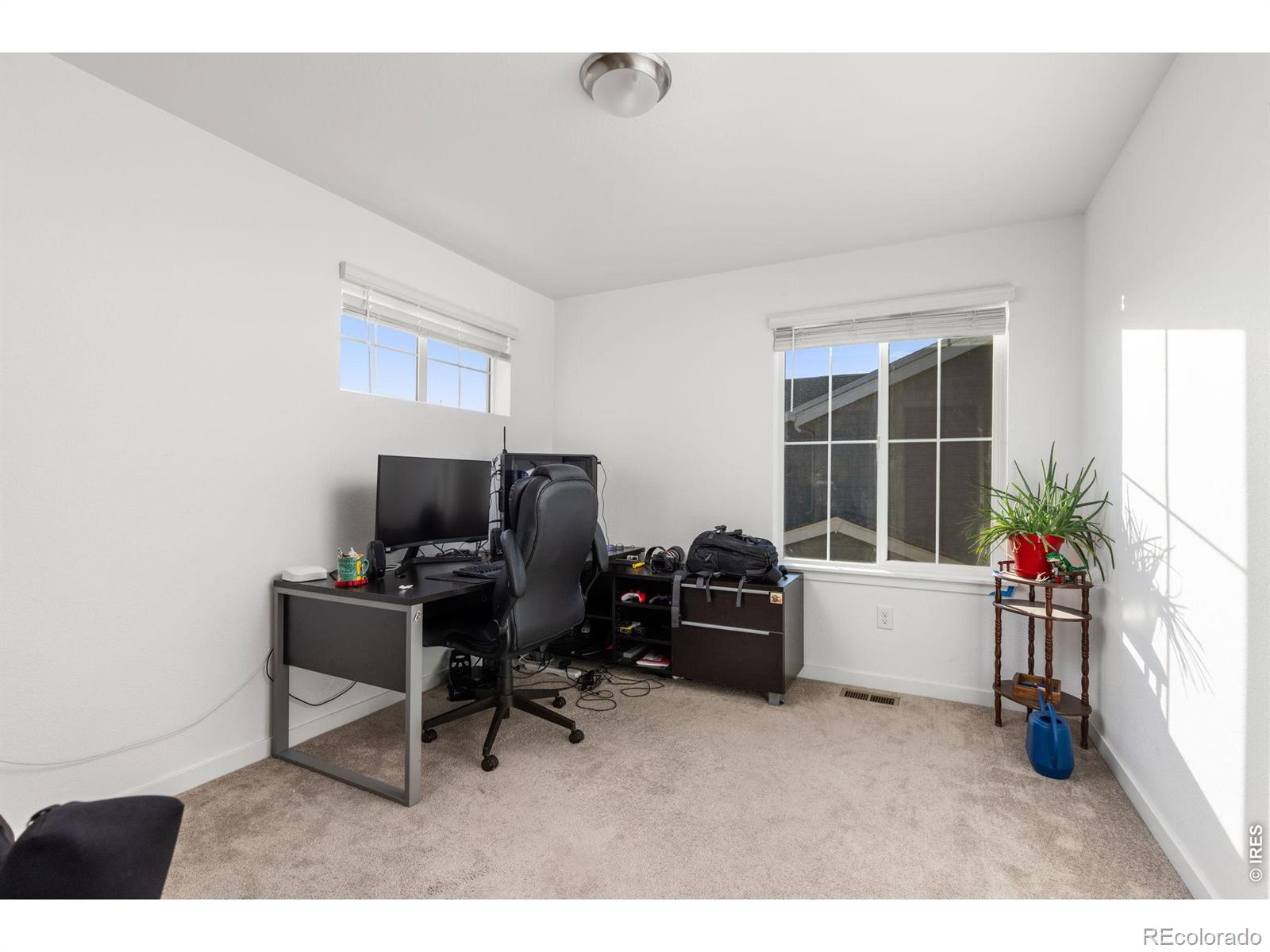 MLS Image #20 for 2832  coleman street,fort collins, Colorado