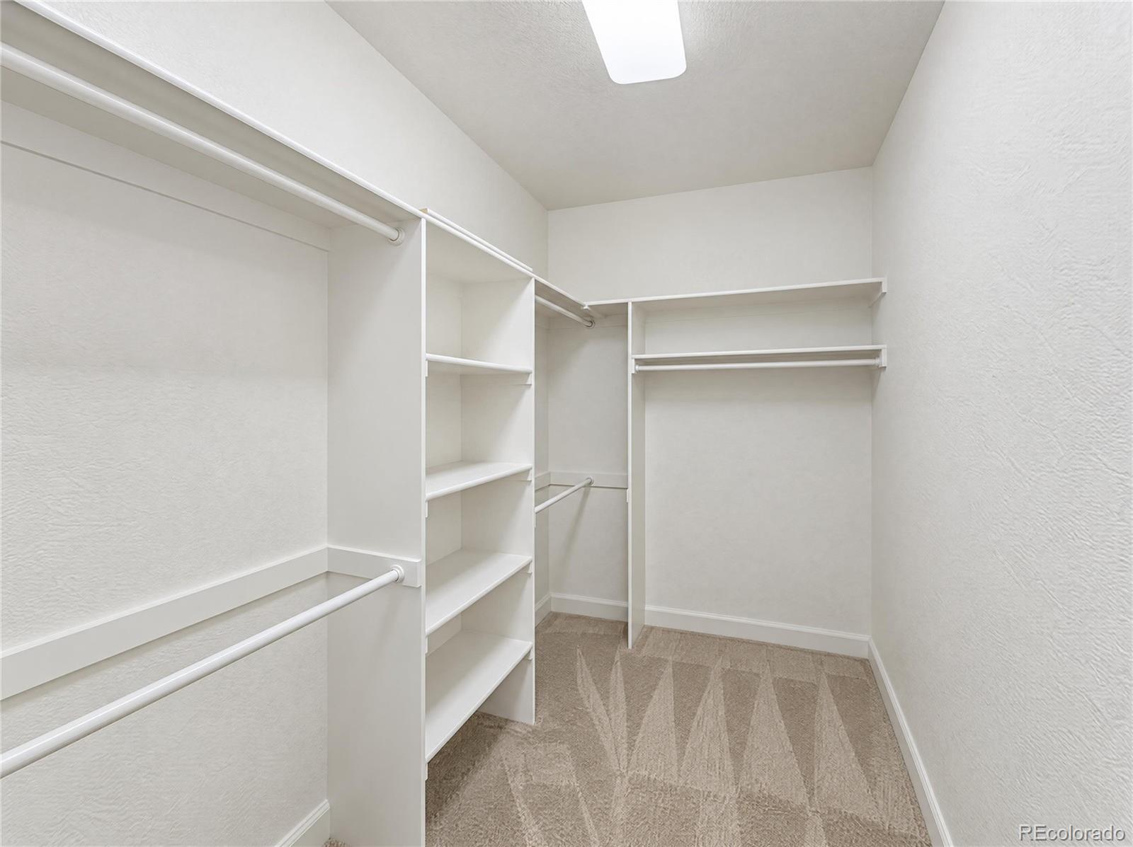MLS Image #14 for 3165  stargazer court,fort collins, Colorado