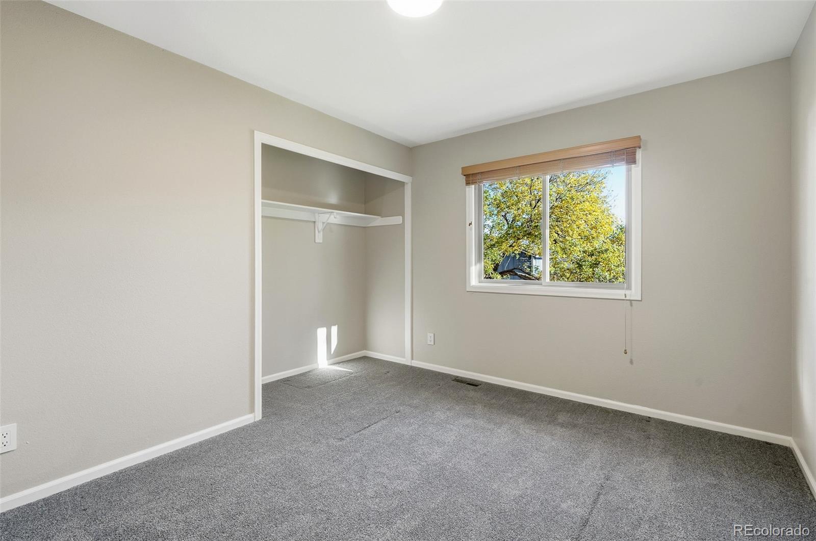 MLS Image #24 for 10746  hobbit lane,westminster, Colorado
