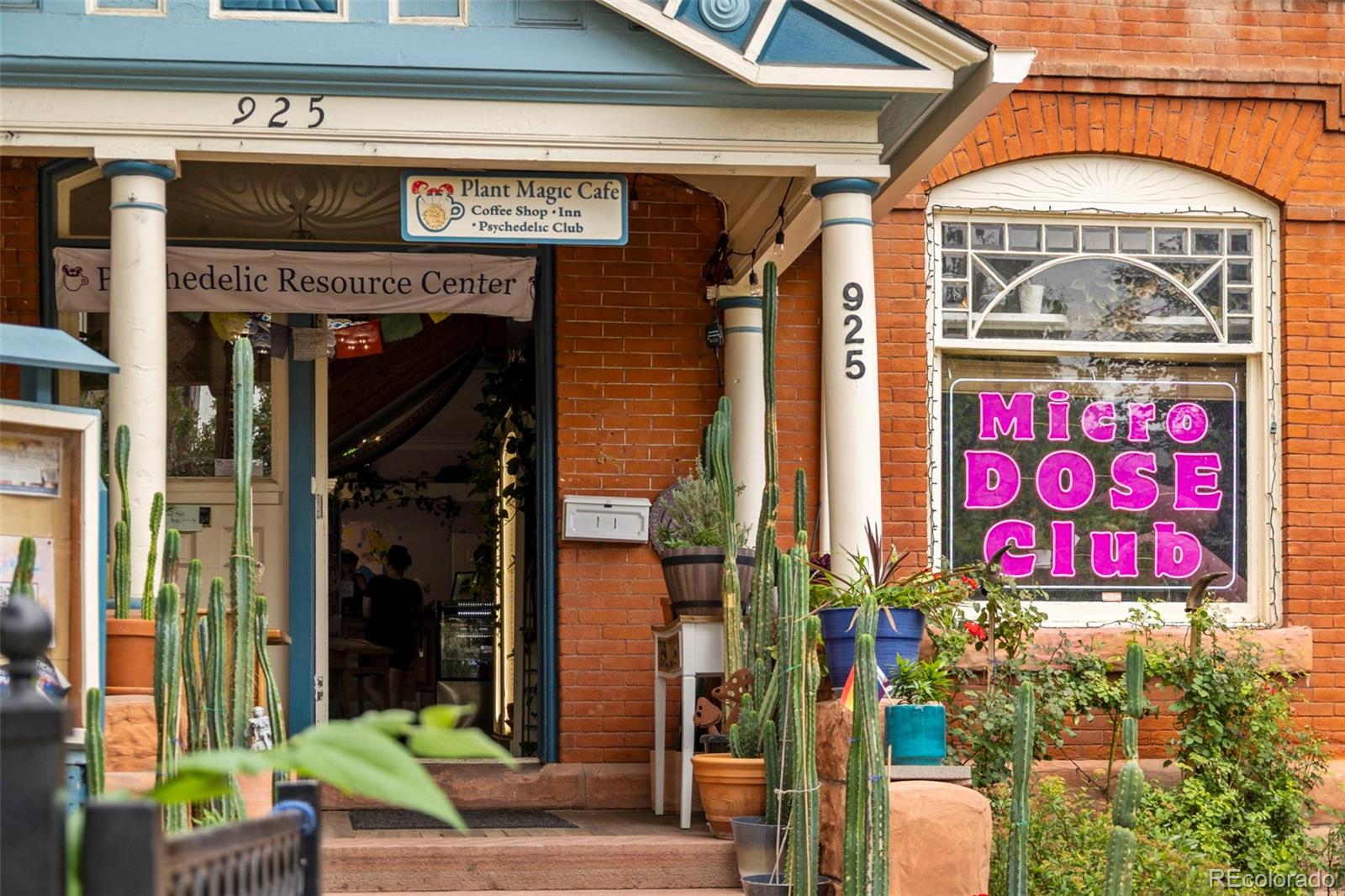 MLS Image #29 for 1735 n ogden street 205,denver, Colorado