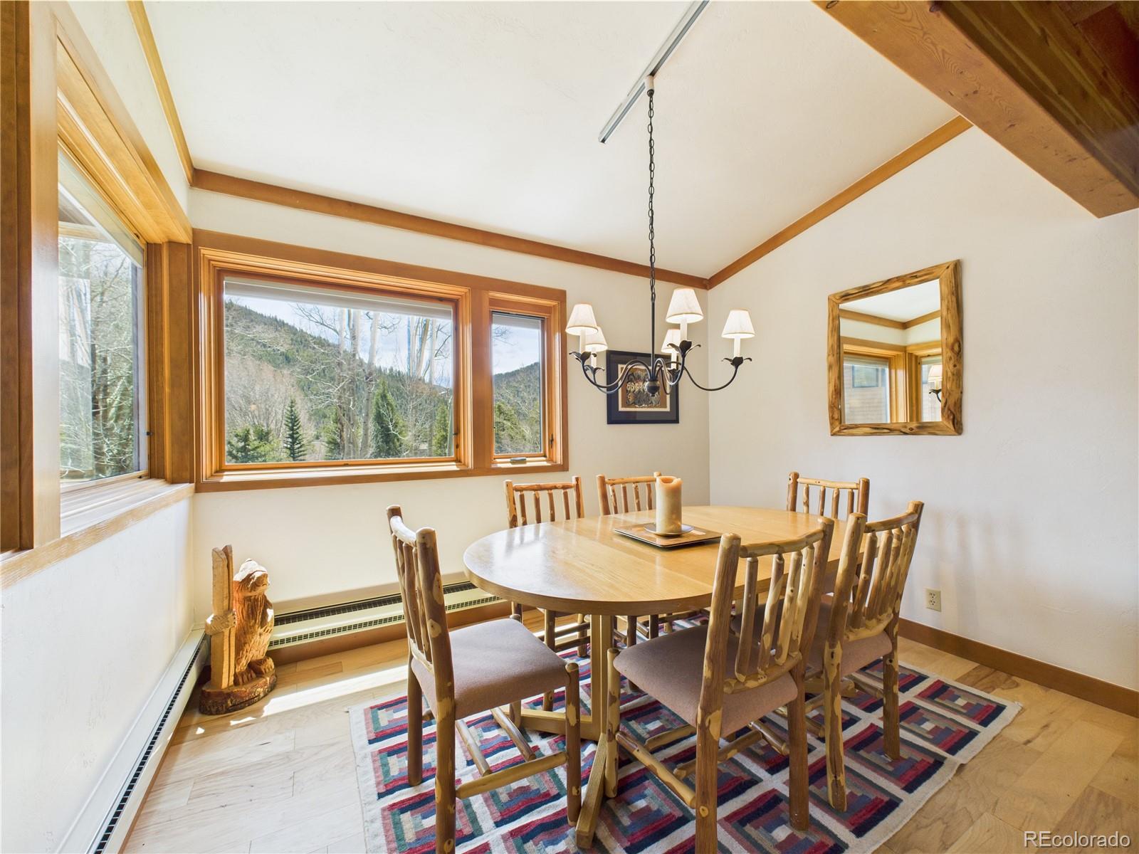 MLS Image #19 for 620  tennis club road,dillon, Colorado